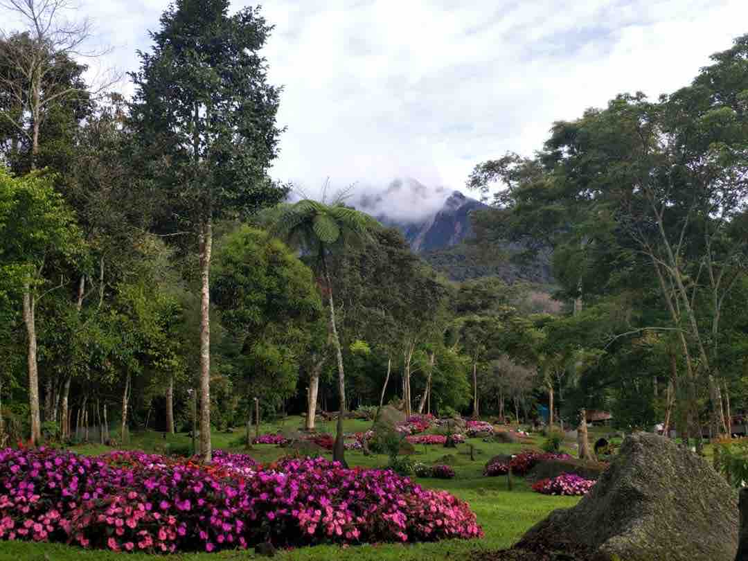 Spring Garden Twin Room Kundasang Mt Kinabalu Cabins For Rent In Kundasang Sabah Malaysia