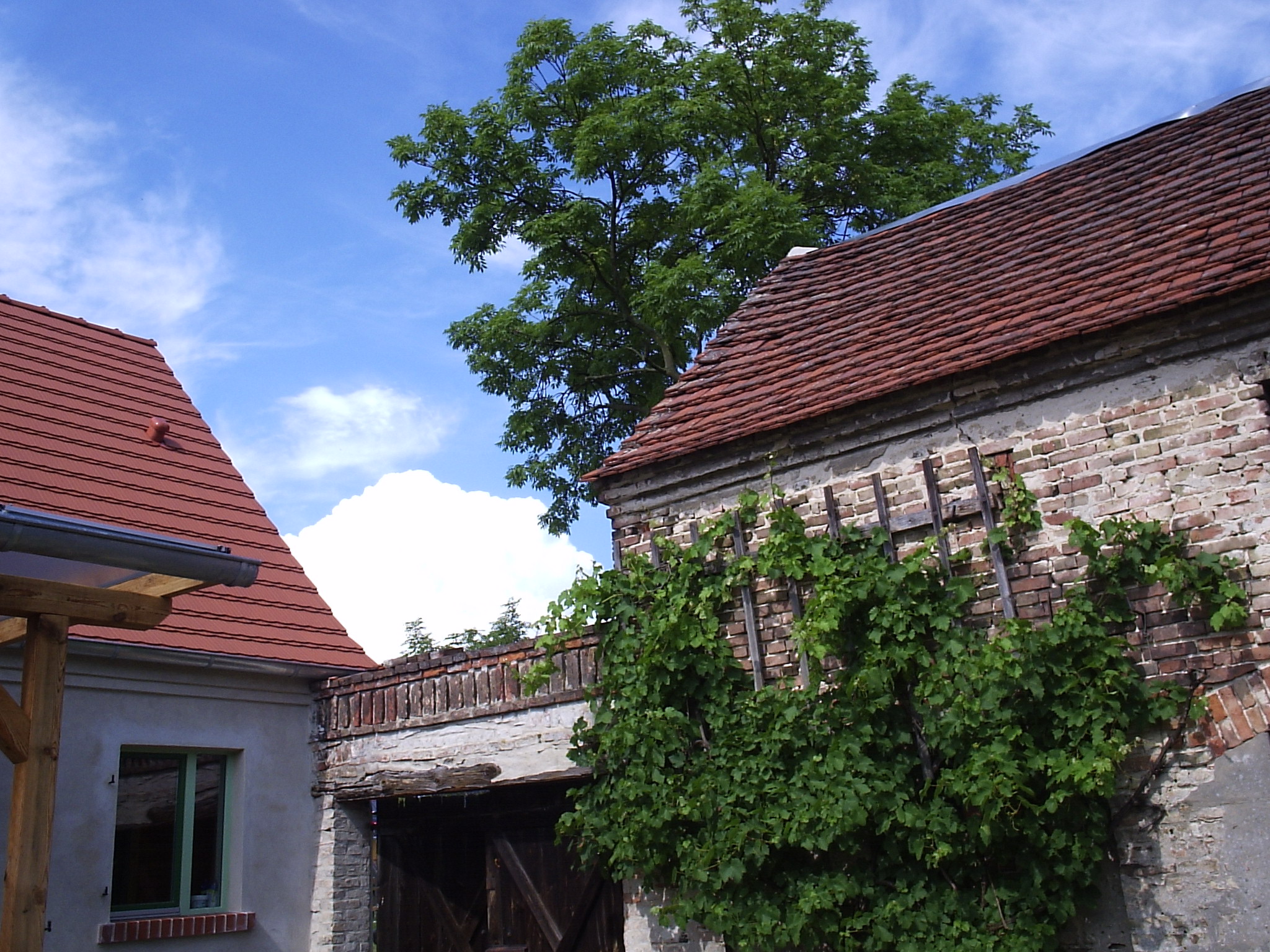 Cozy house directly on the Havel
