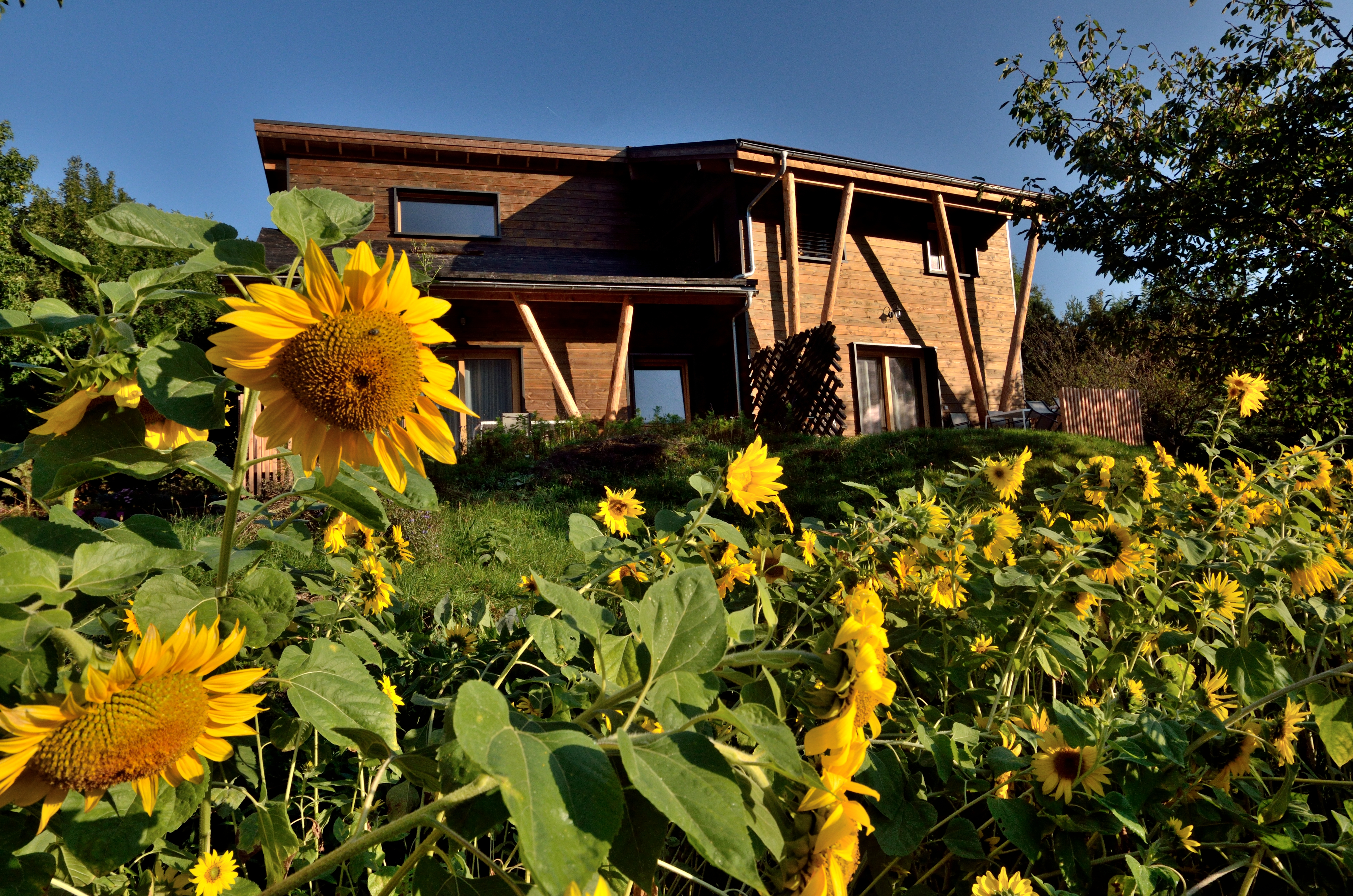 Melo, atypical cottage, bright,beautiful terrace.