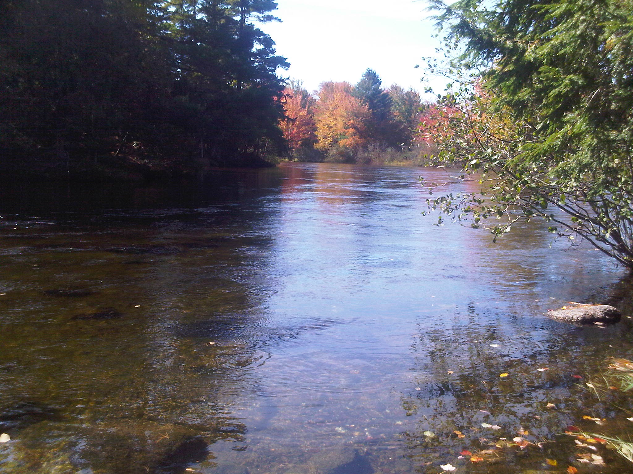 Gramp"s Camp Cabins for Rent in Princeton, Maine, United States Airbnb