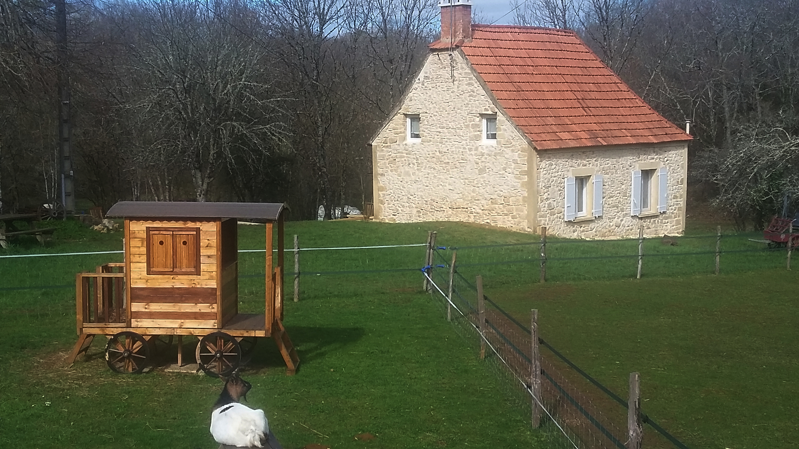the little house on the meadow