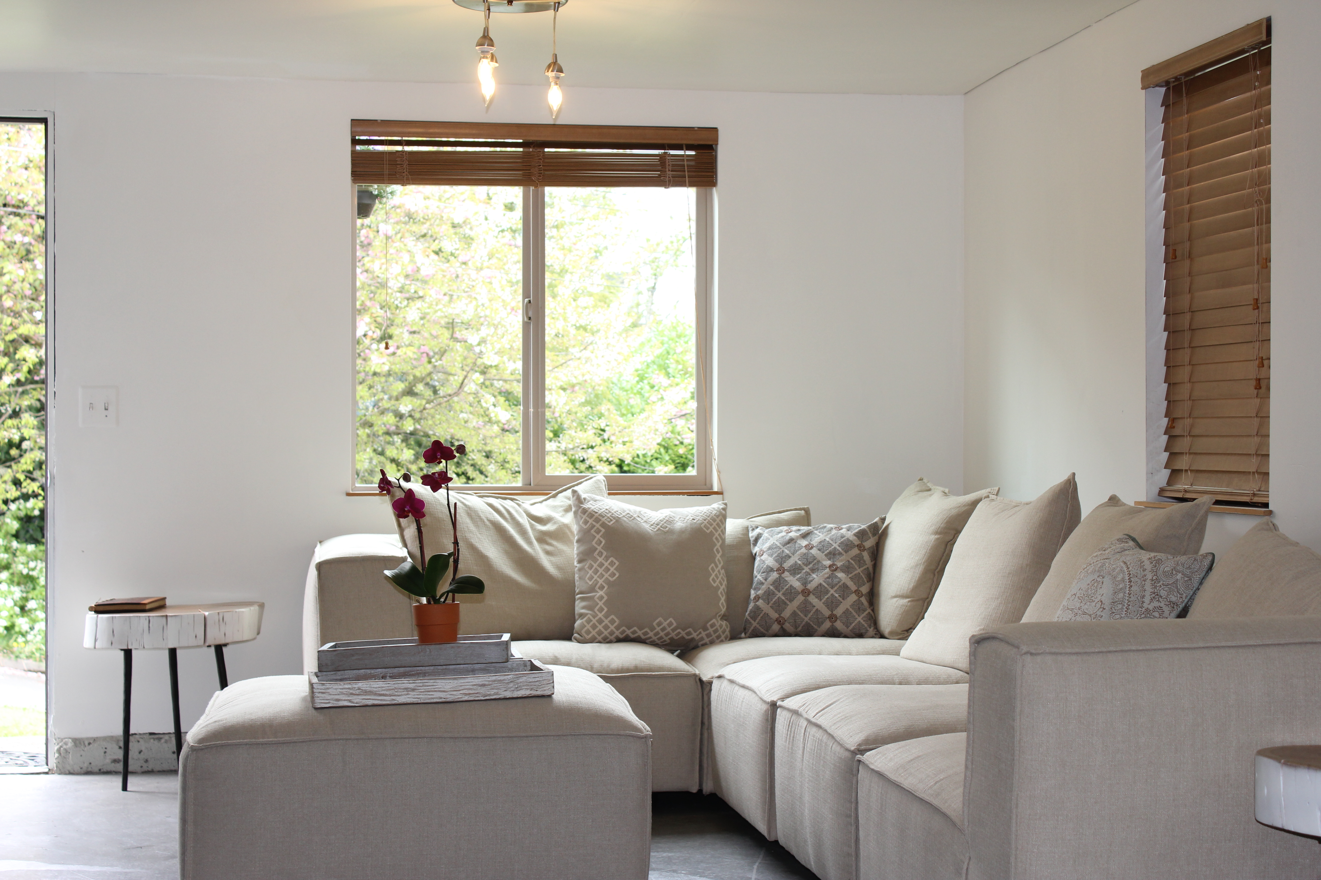 Newly renovated Modern Apt. in Madison Valley