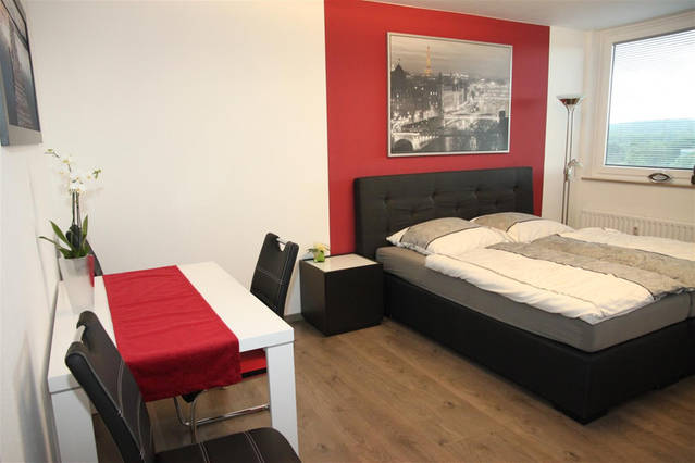 Elegant apartment near the trade fair