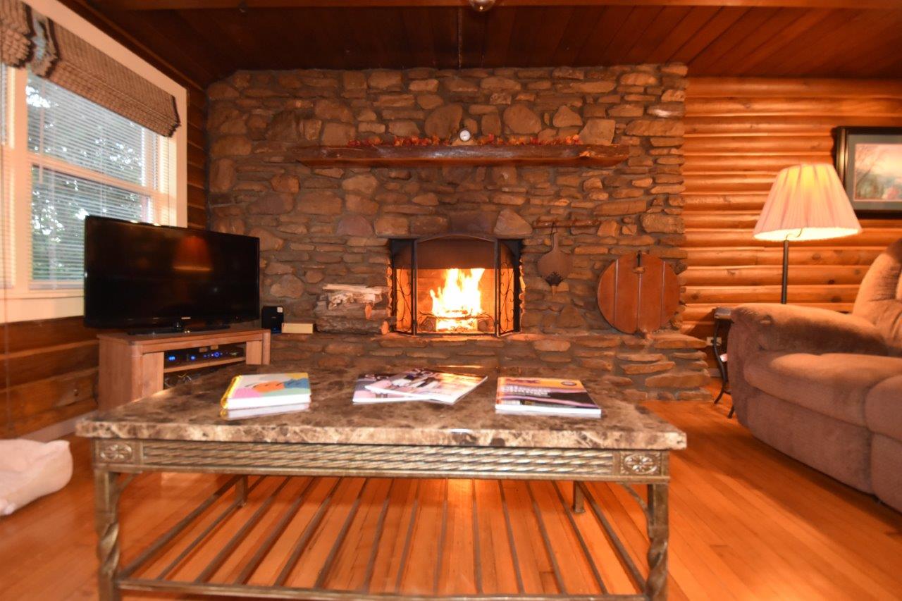 Cabin-Wood Fireplace-Hot Tub-Pool-Pet Friendly in 28715, Asheville