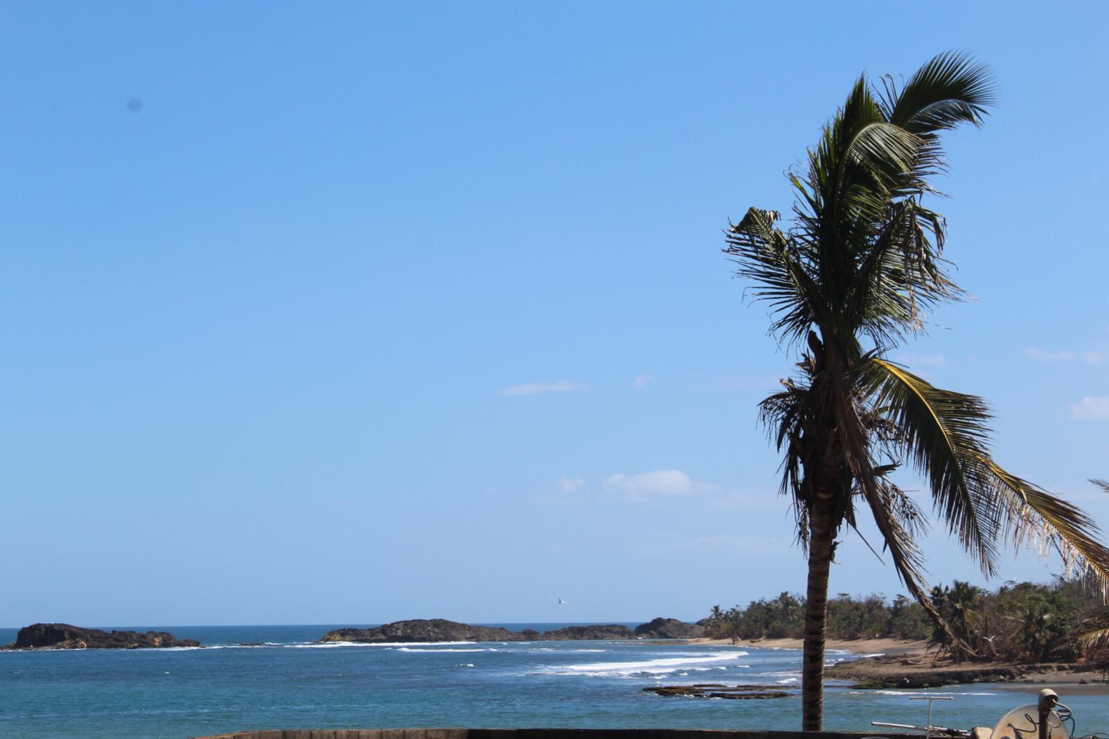 Machuka S Garden Village Casas En Renta En Barceloneta Barceloneta Puerto Rico