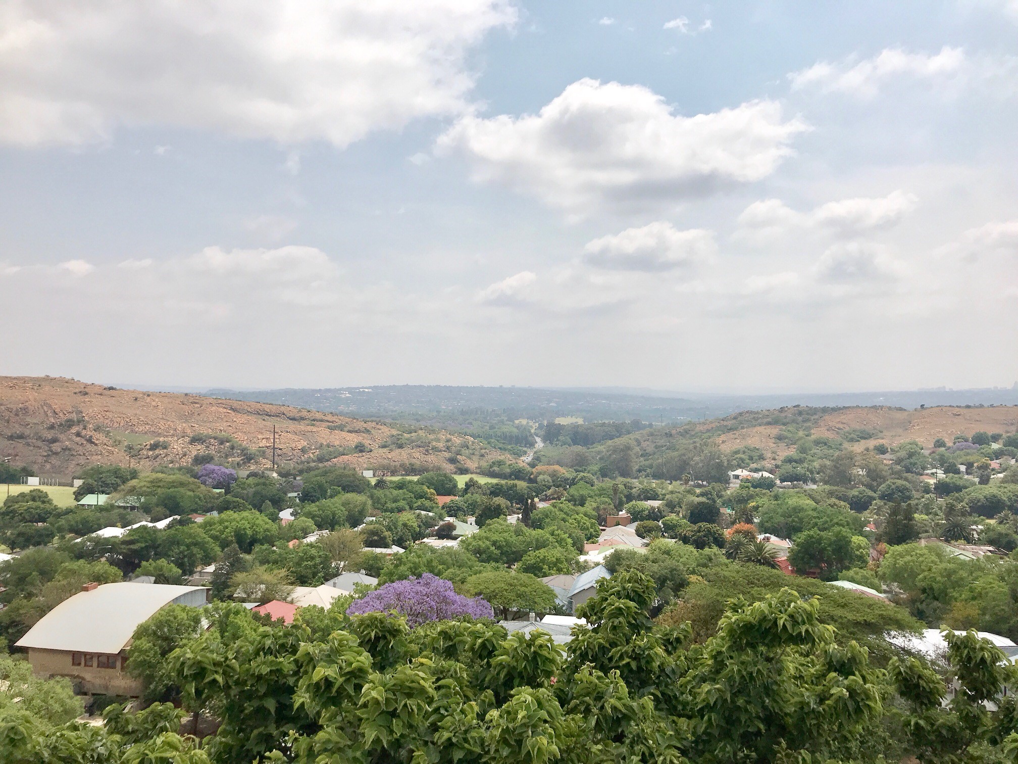 PABLO HOUSE Melville three Guest suites for Rent in Johannesburg