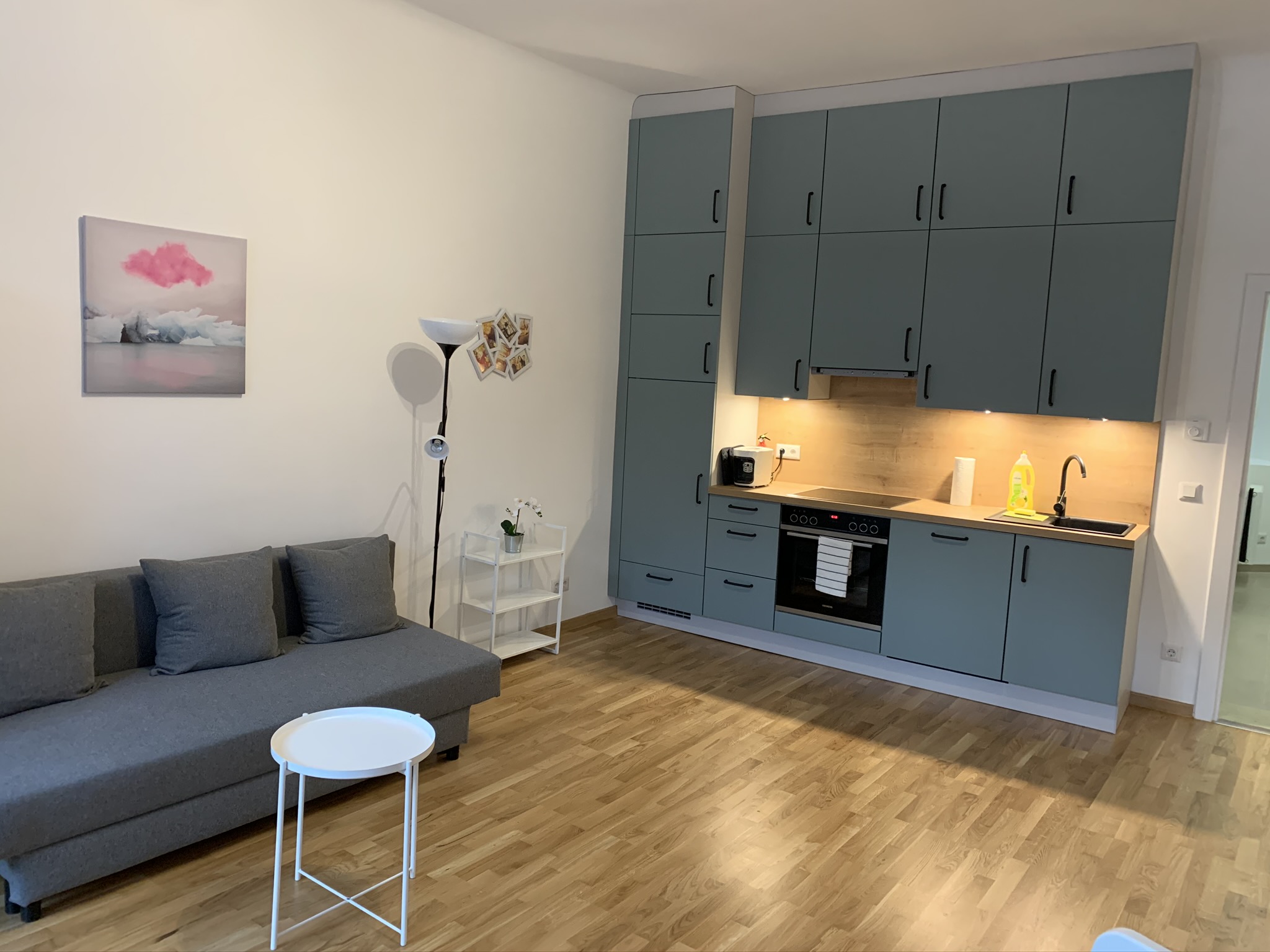 Fancy City Apartment