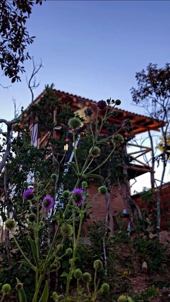 Cabana do Cerrado - Vale do Rio Paciência