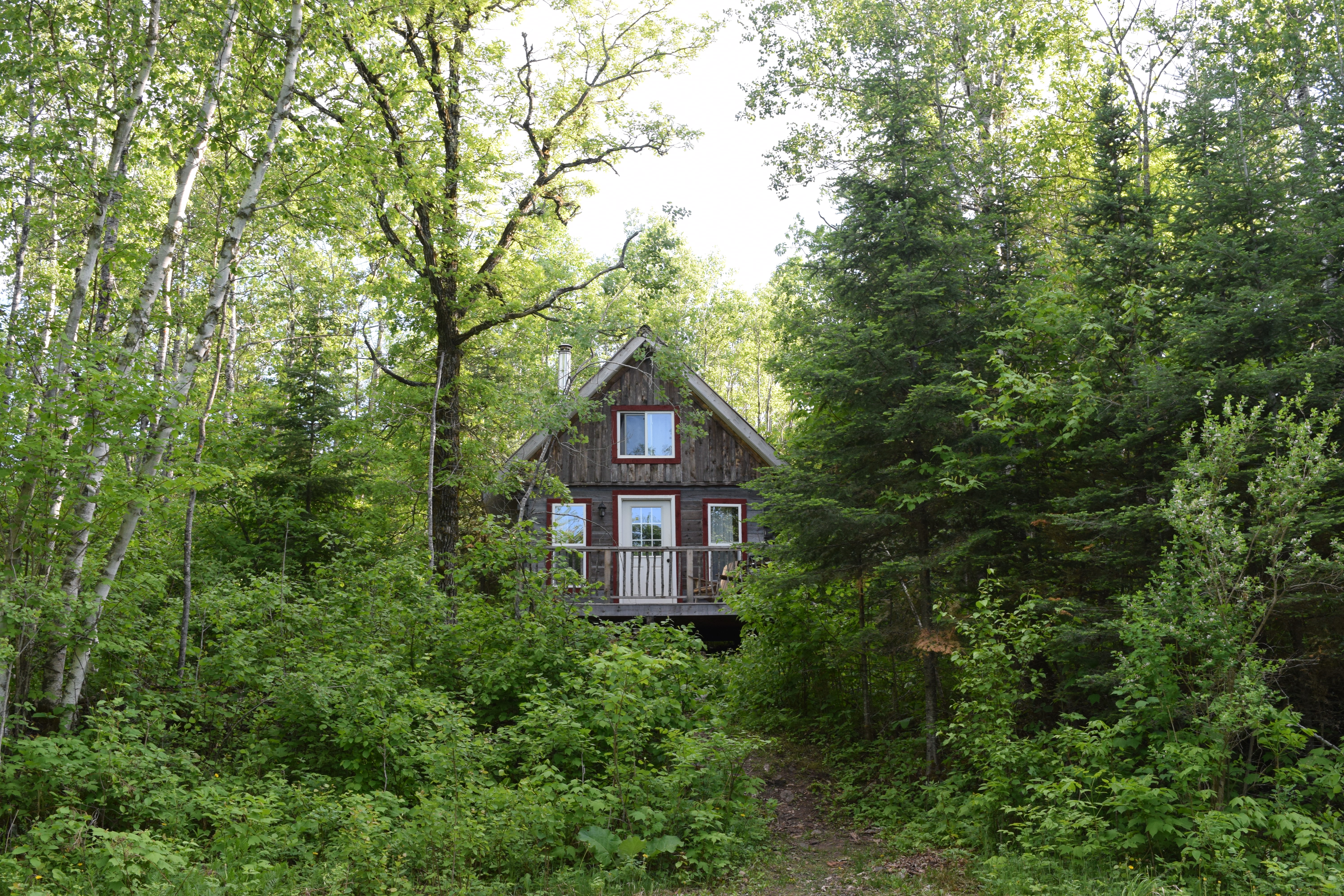 Nettle Cabin w/ Lake Access @ Wild Woods Hideaway