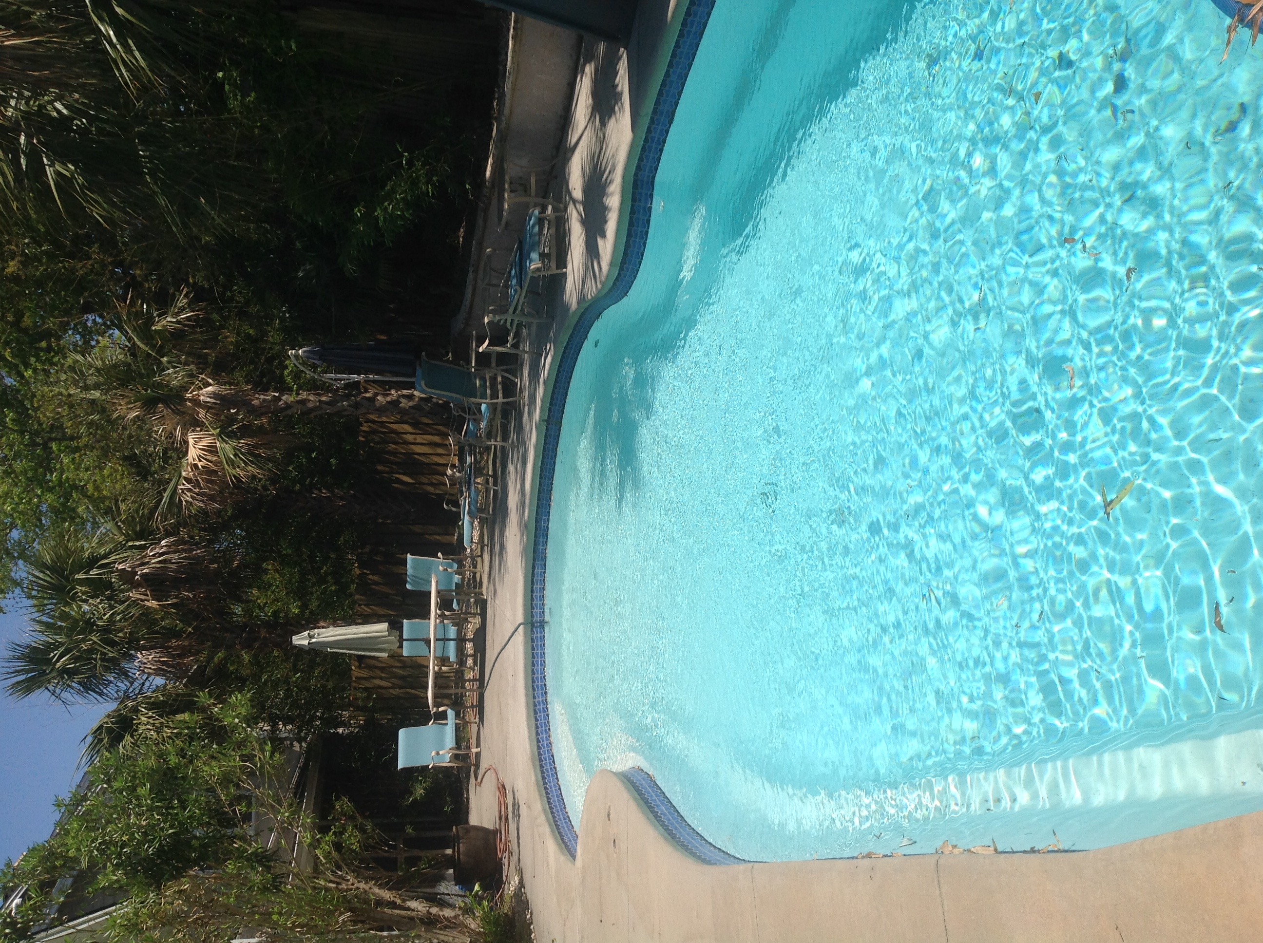 Carolina beach home with view of saltwater pool Apartments for Rent