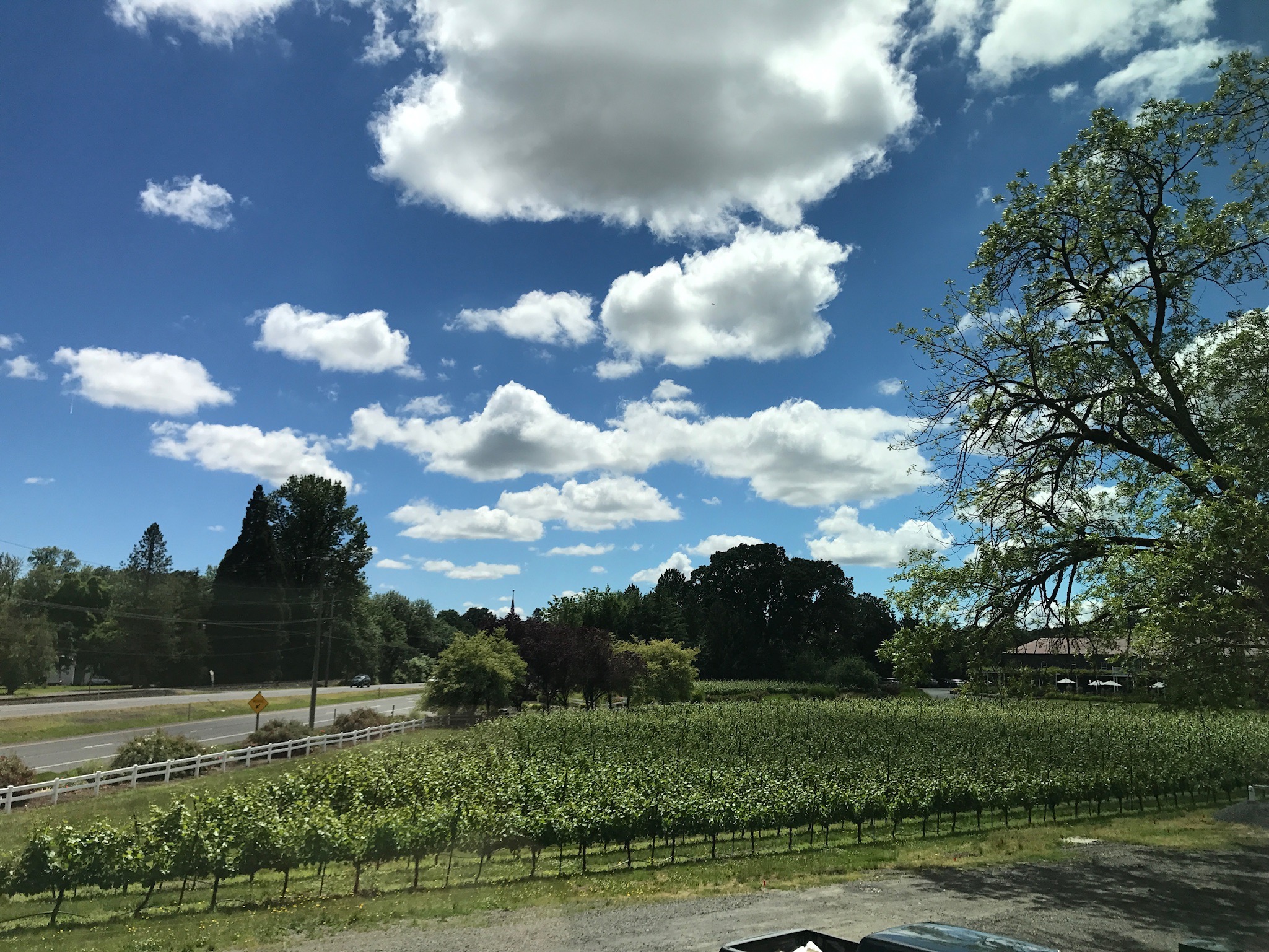 FiveStar Farmhouse at Stock Farms in Wine Country Houses for Rent in Newberg, Oregon, United