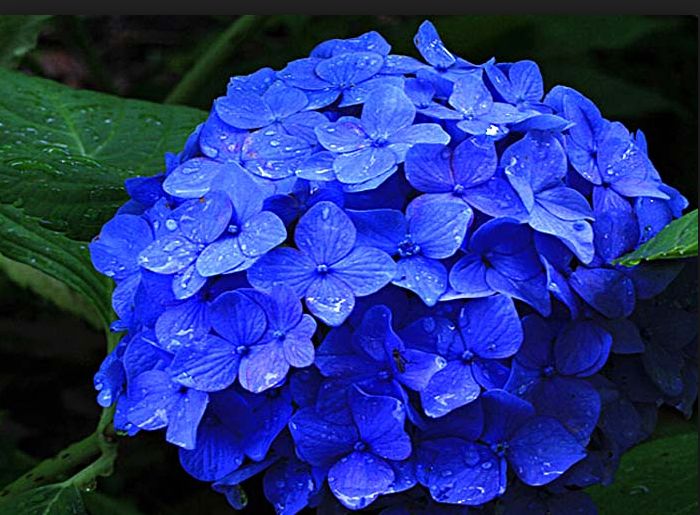 Good For Remote Work Cozy Calm Small Single Rm Bungalows For Rent In Sakyō Ku Kyoto Kyoto Japan