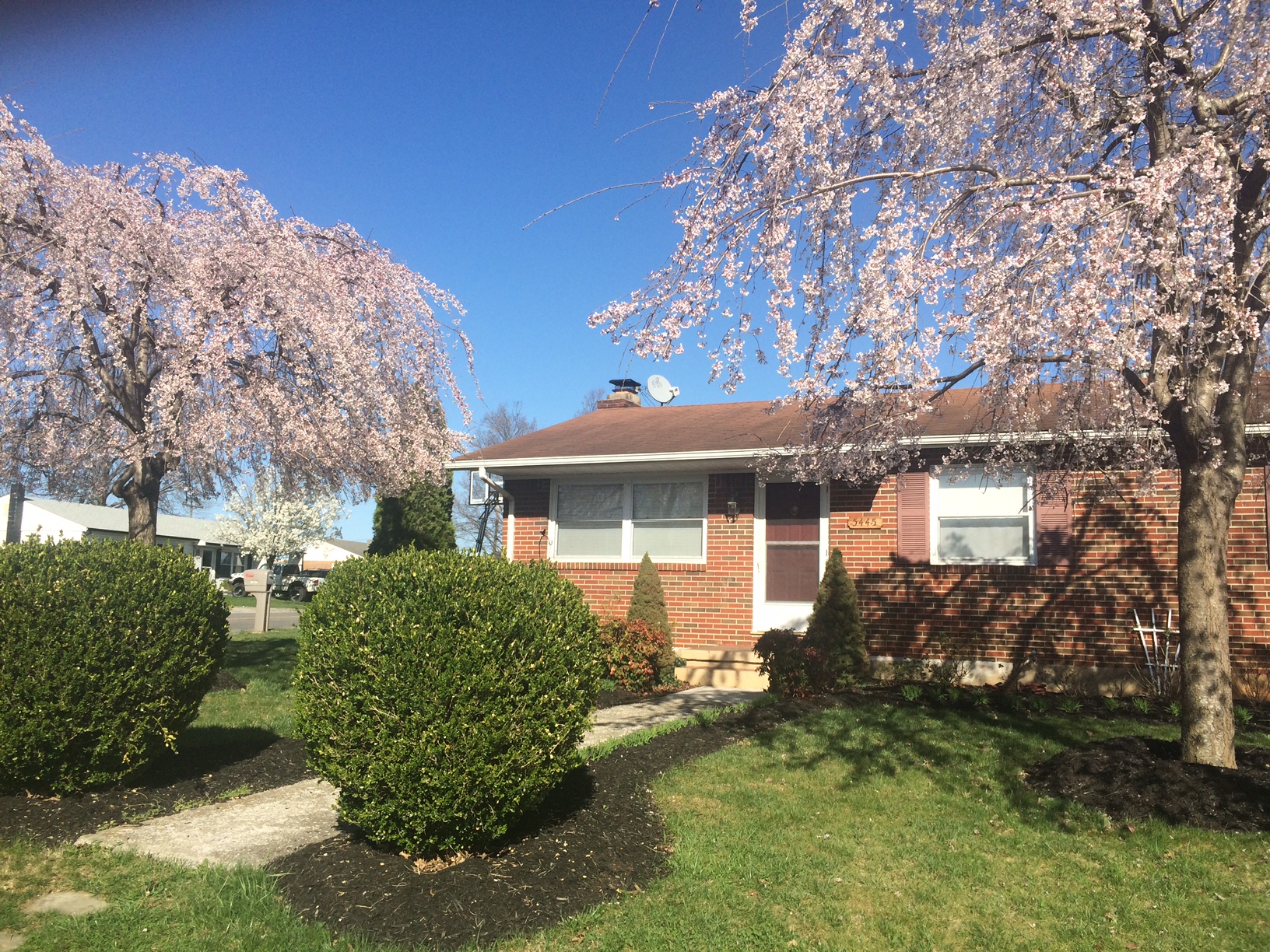 Home Away from Home w/ Studio AptPets Houses for Rent in