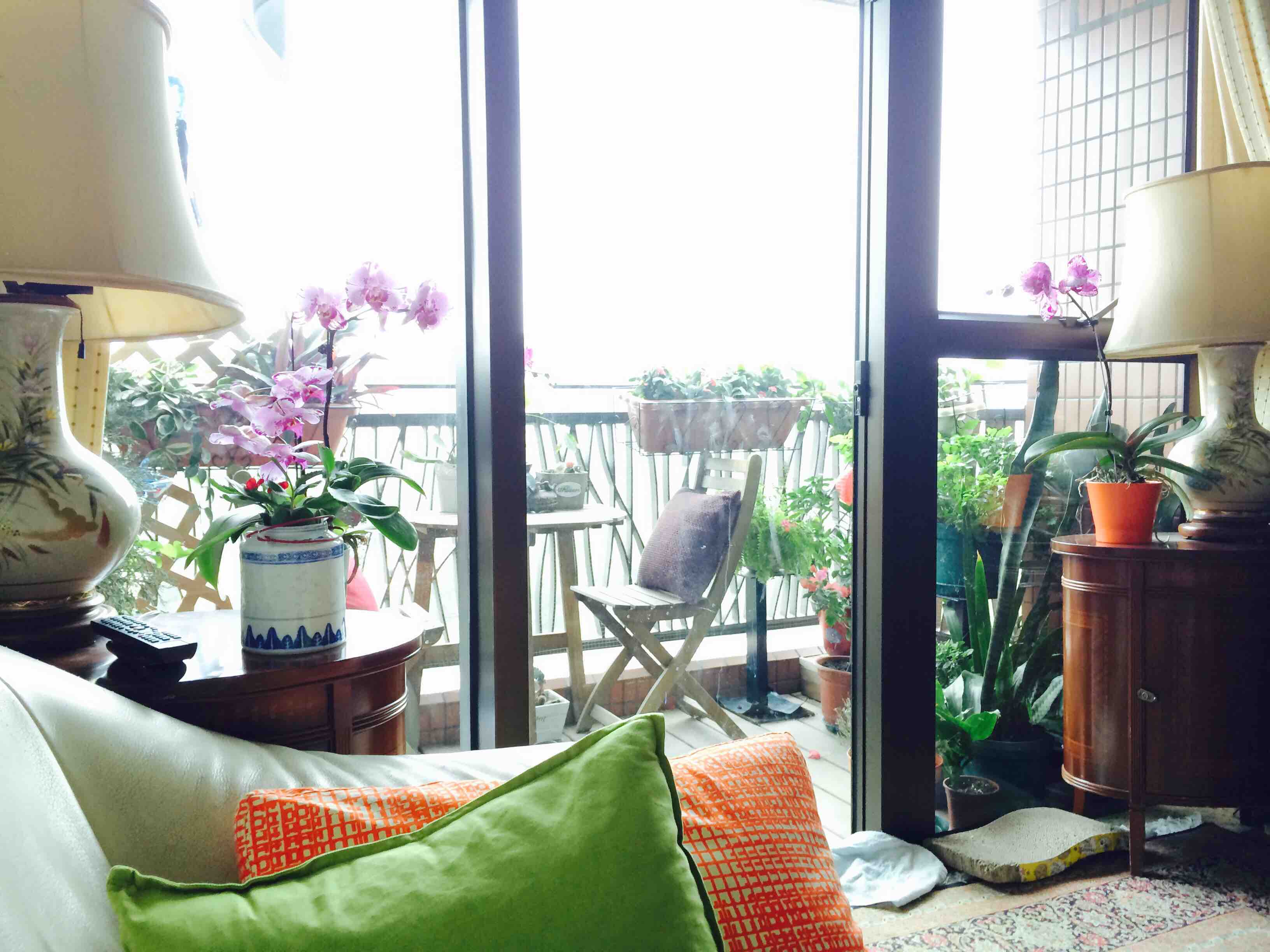 Single bed room with green view in North, Hong Kong