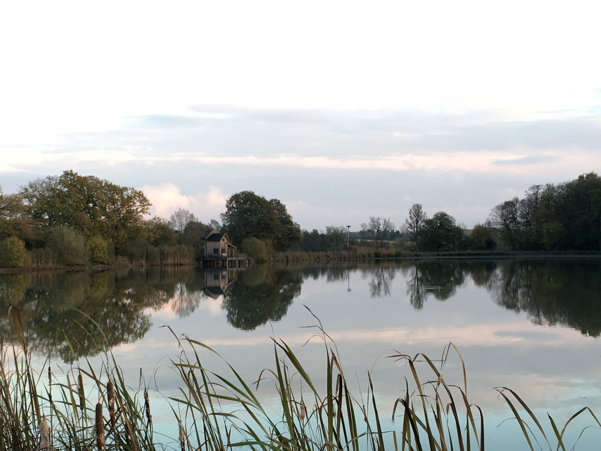 Millet Pond hut Treehouses for Rent in Le Chemin, Grand Est, France