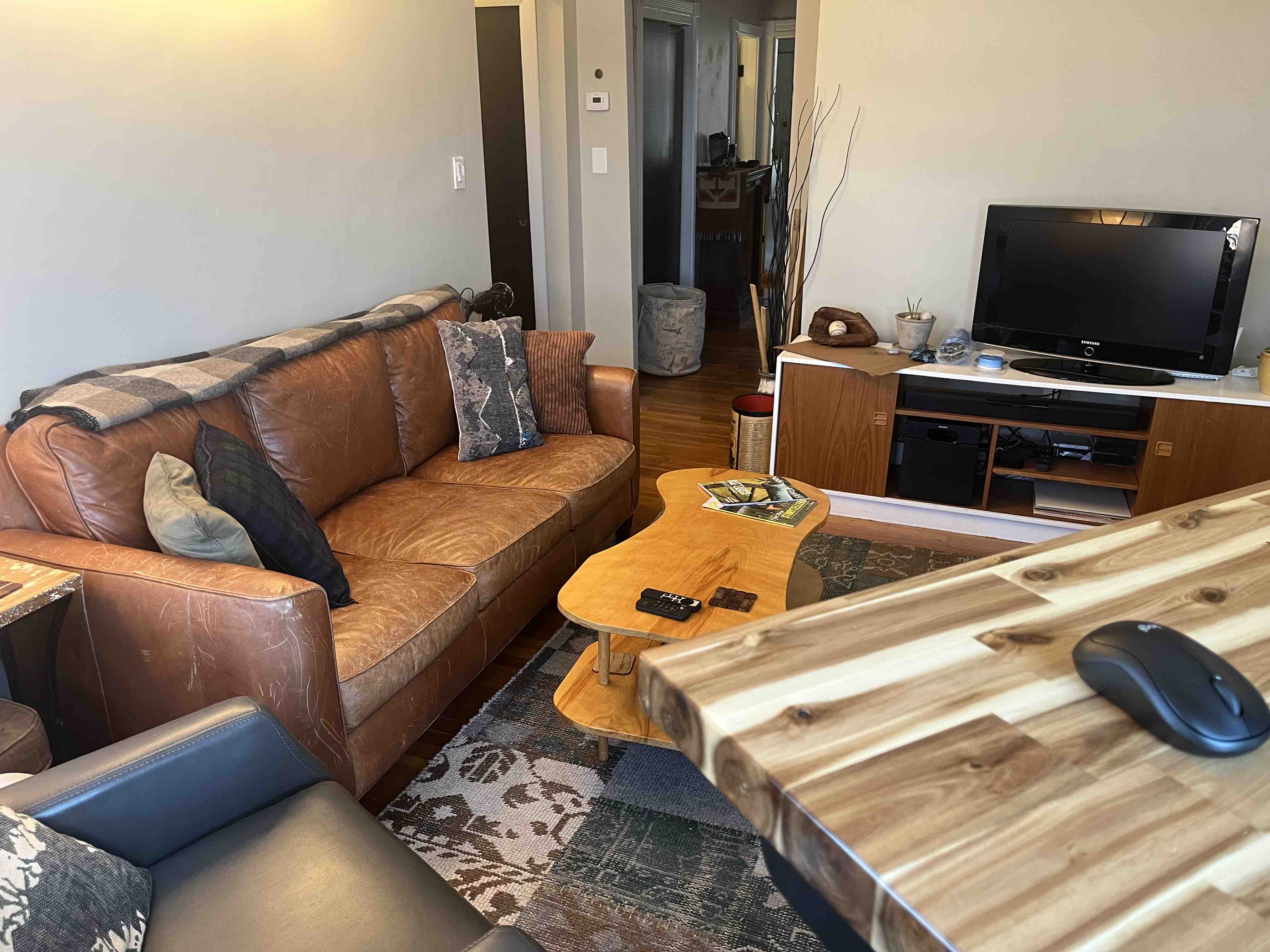 Cozy and bright 1-bed near MIT-Kendall-Harvard in Wellington-Harrington, Cambridge