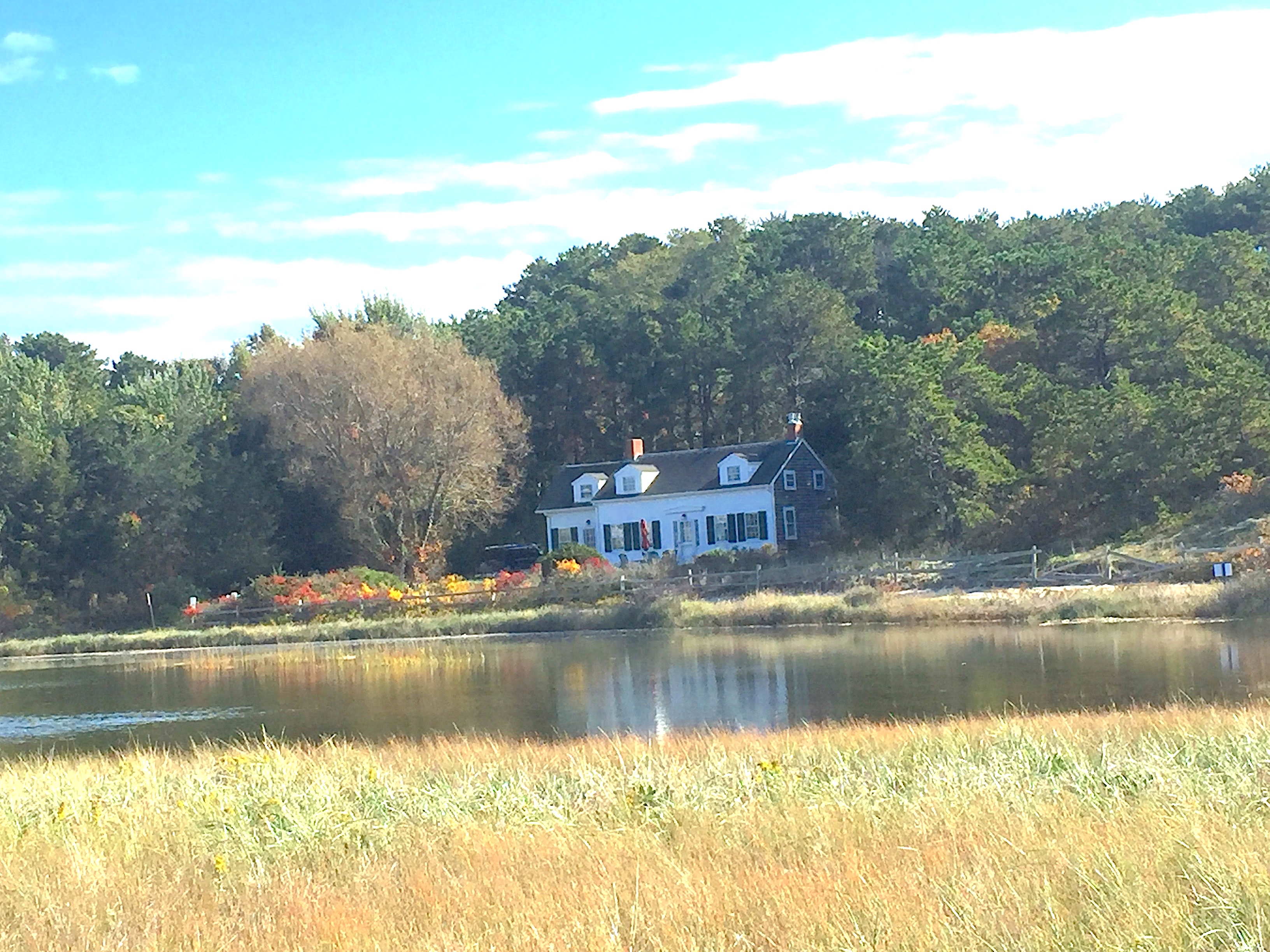 Waterfront Treasure on the Cove