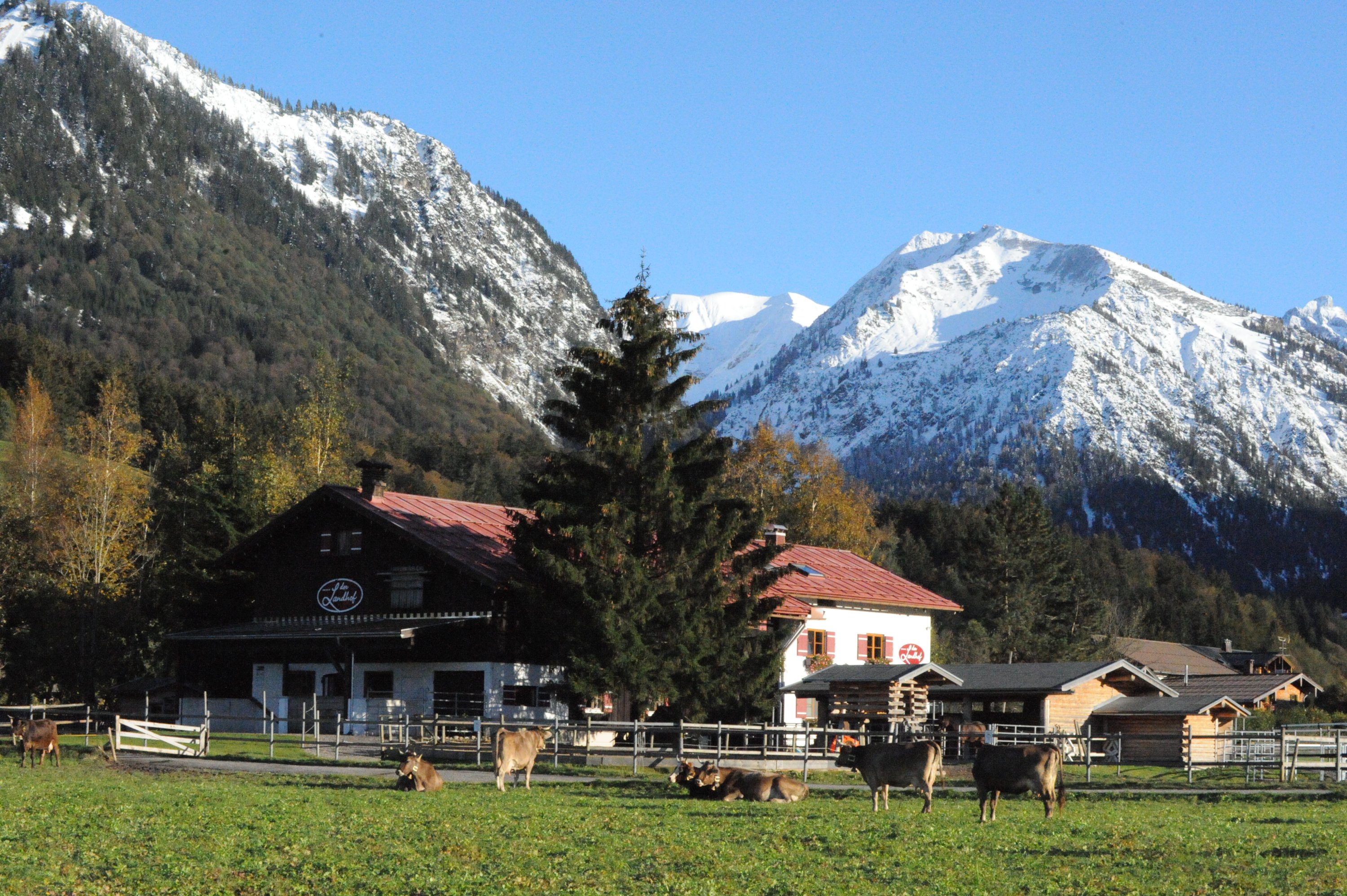 5 Salbei - Wohnungen zur Miete in Oberstdorf, BY, Deutschland