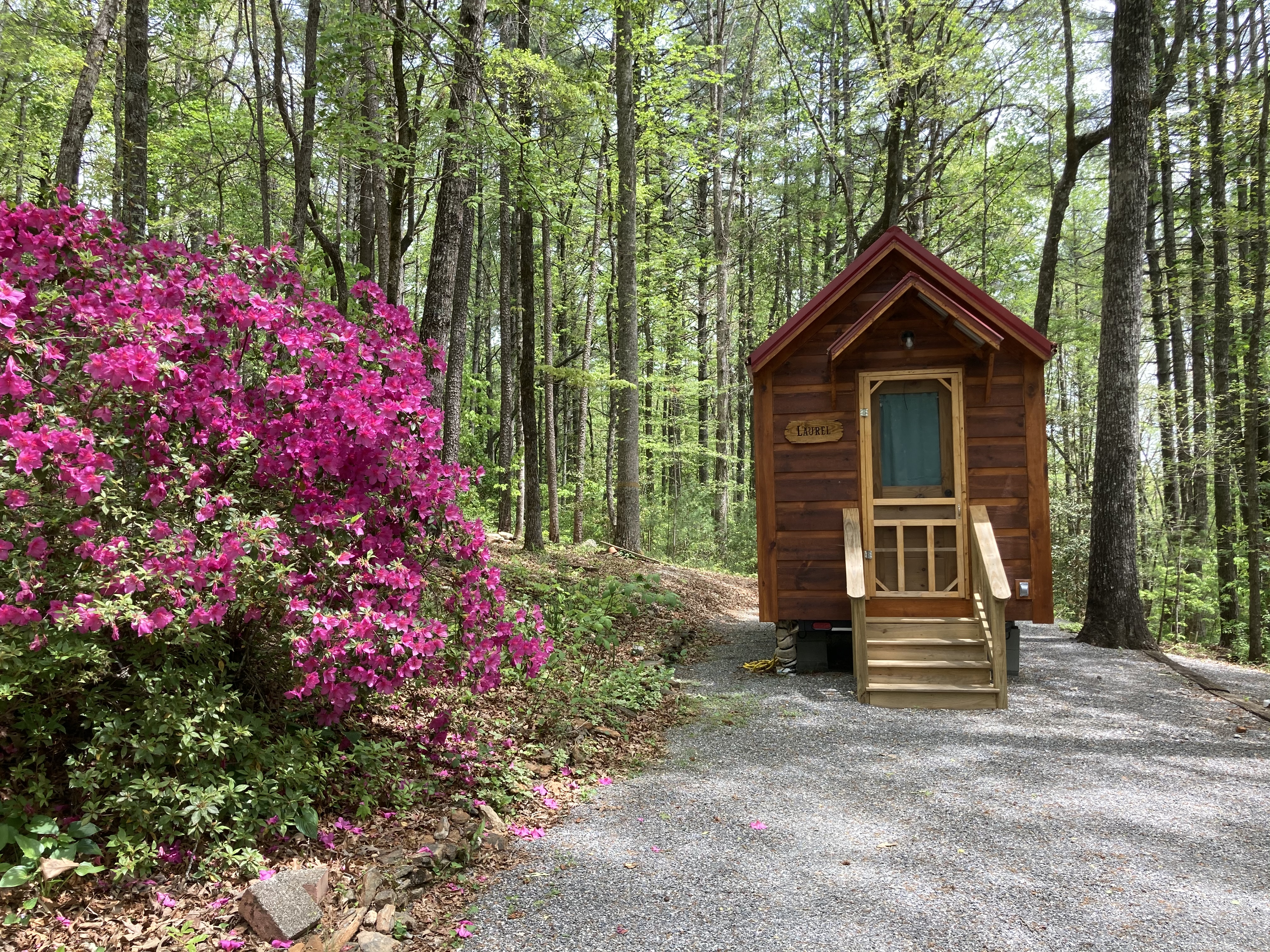 Laurel Tiny Home North Georgia
