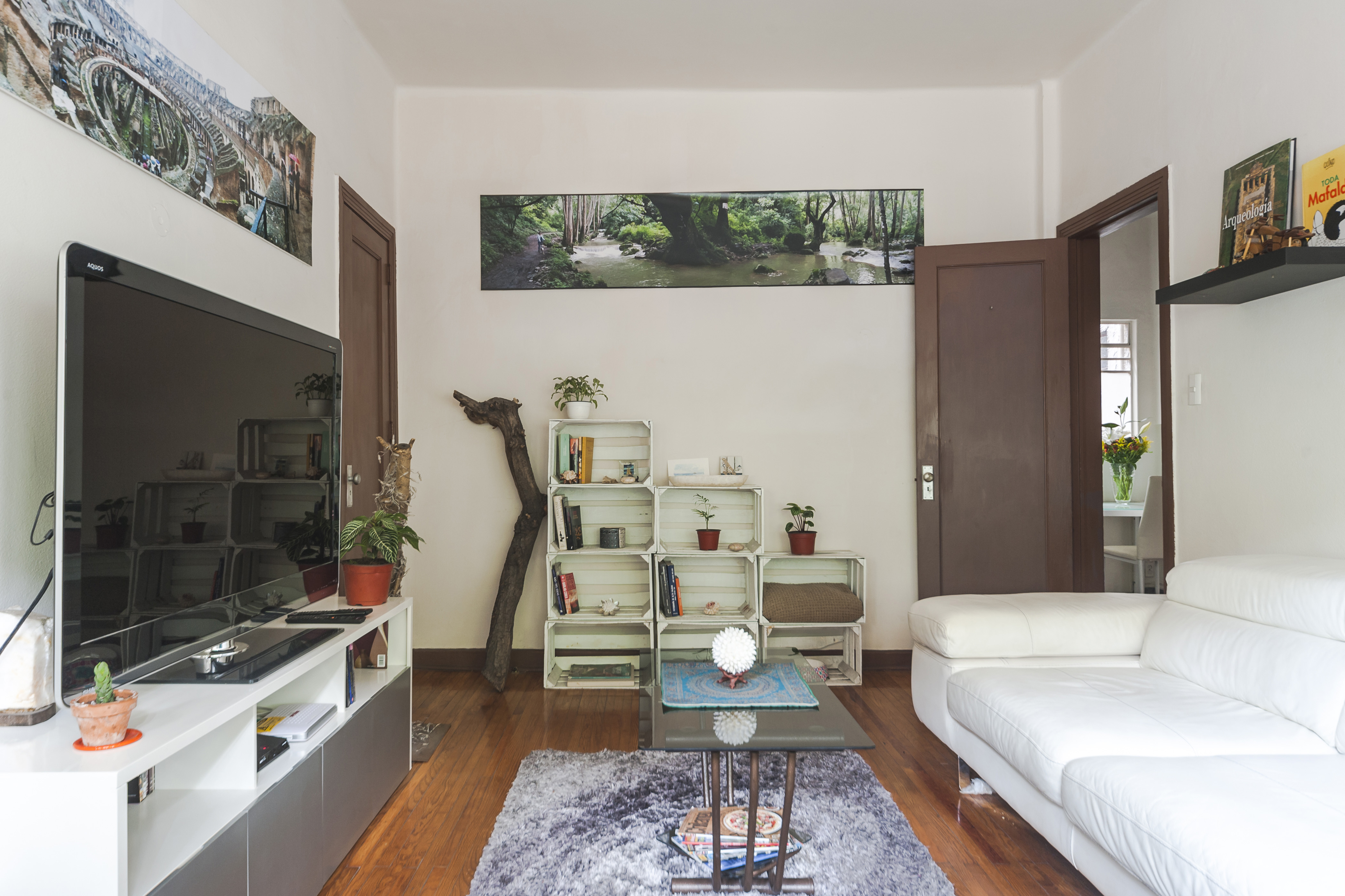 Trendy and cozy apartment at Condesa´s heart Apartments for Rent in