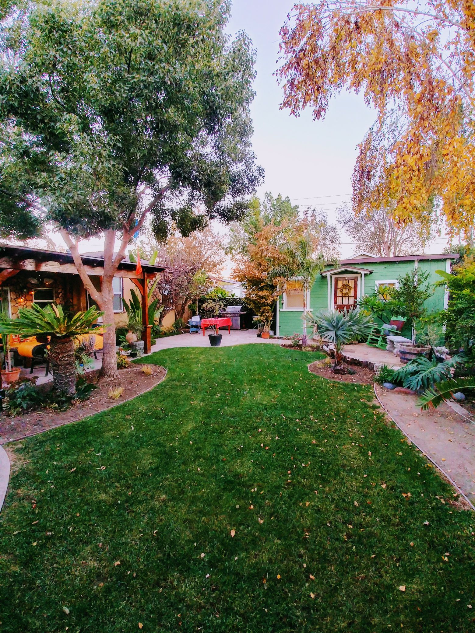 Tiny Cottage!