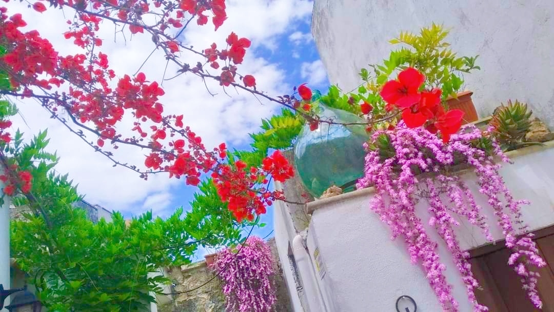 Nonna Rosina ancient Salento house