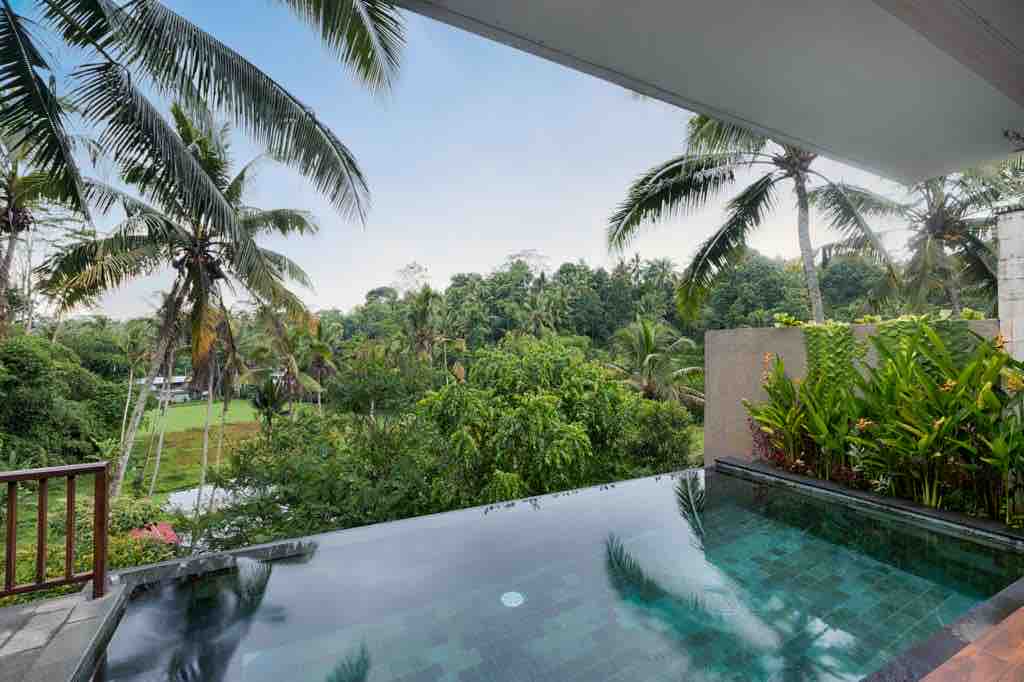 Infinity Private Pool Villa With Valley View @Ubud