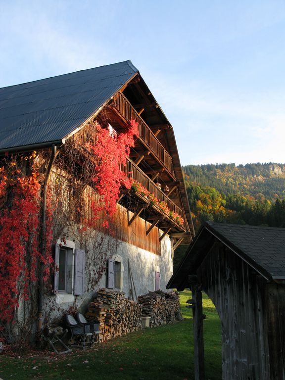 Apartment in a farmhouse overlooking the south