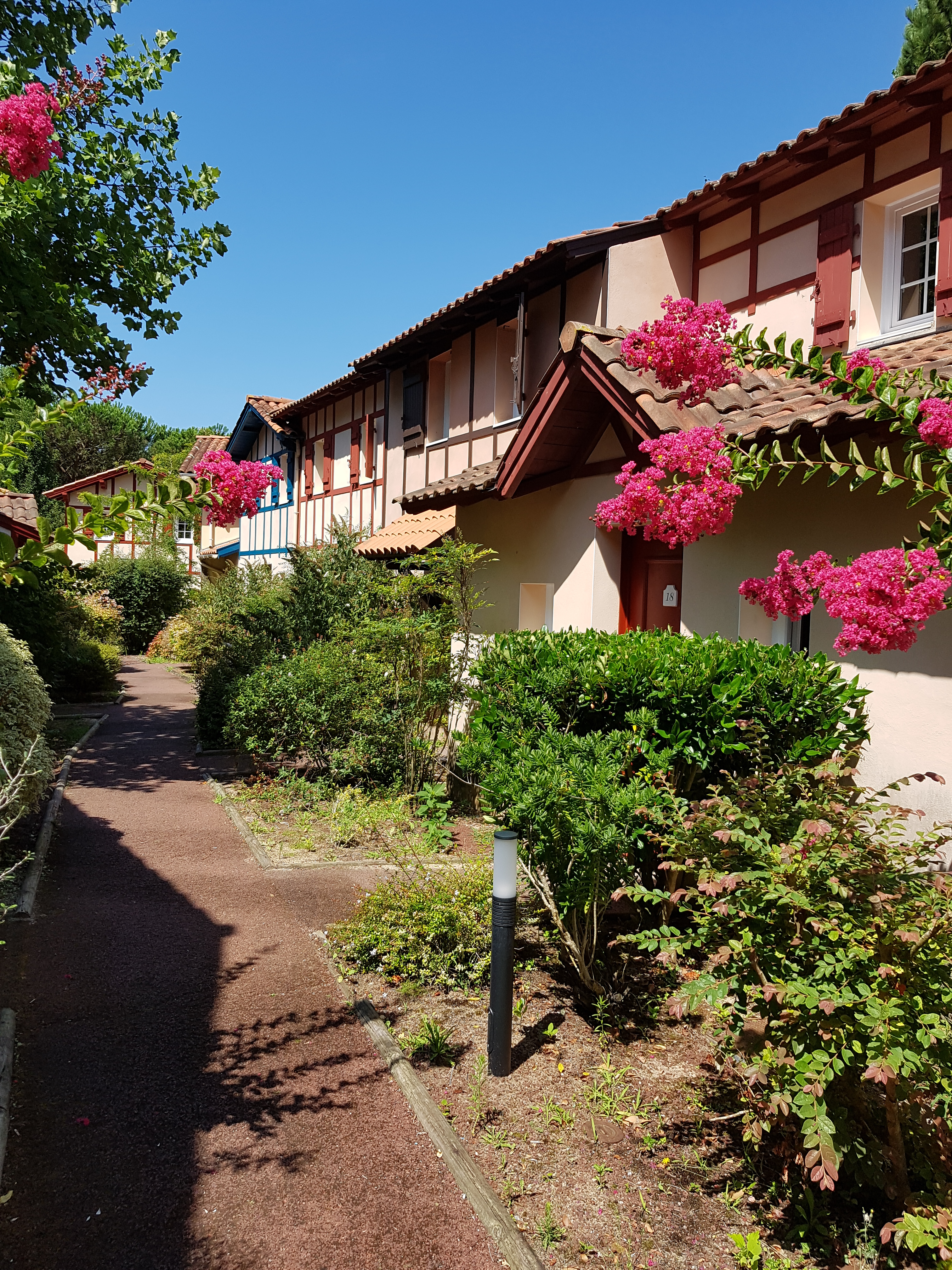 Quiet Beach and Golf Walking Tour 3* House in Moliets