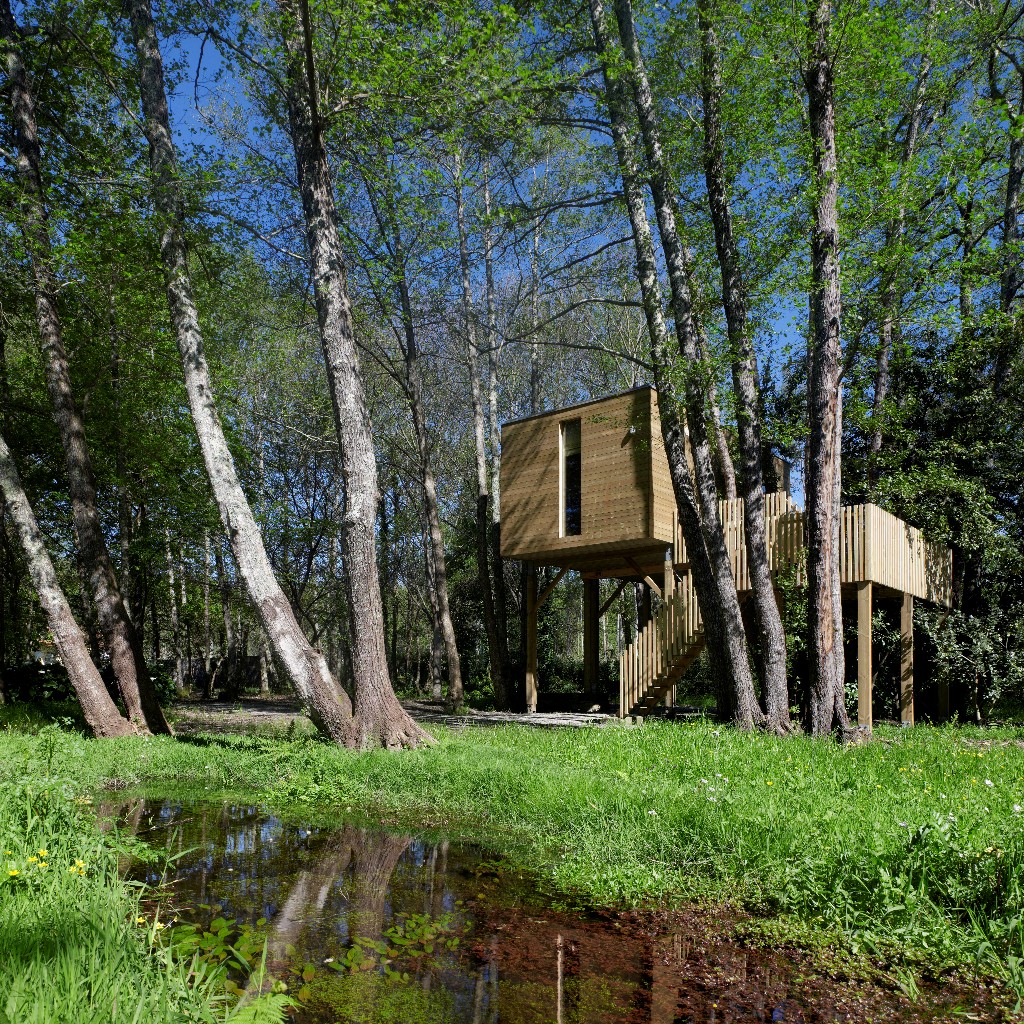 Tree house - Cabaña de Arturo