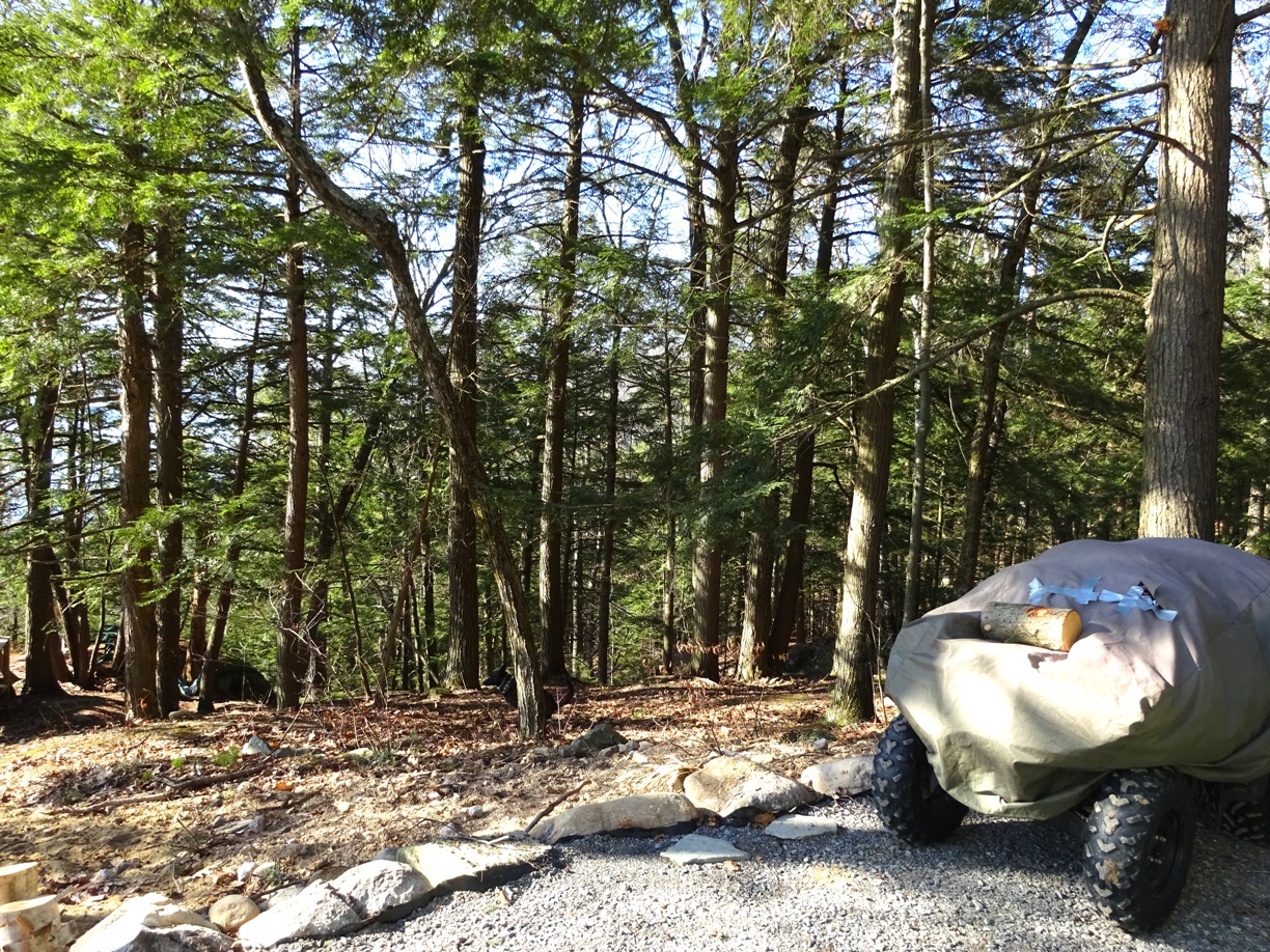 Camp Rousseau Elegance in the Adirondack Forest Cabins for Rent in