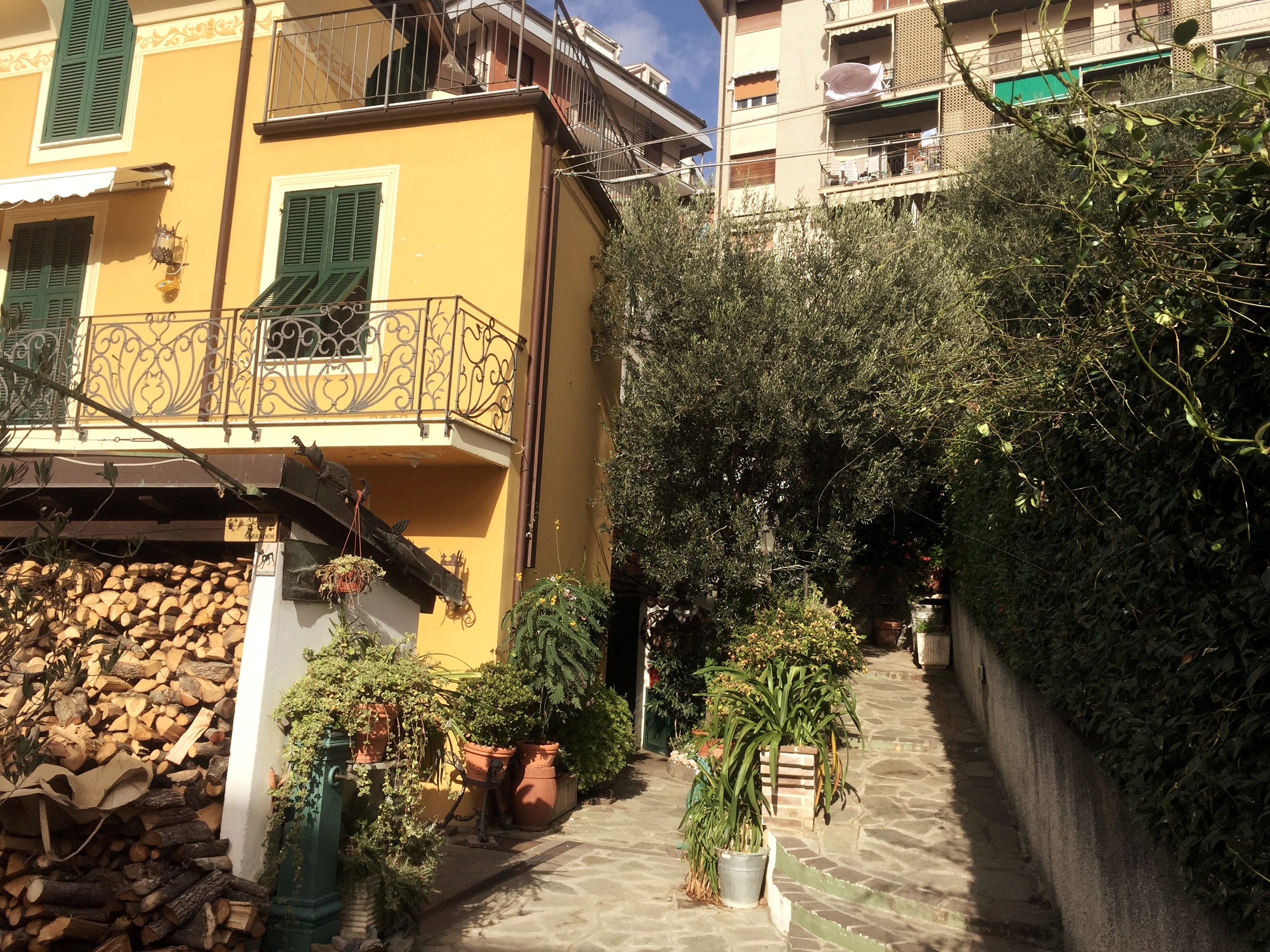 Three-room apartment in Alassio, a stone's throw from the sea!