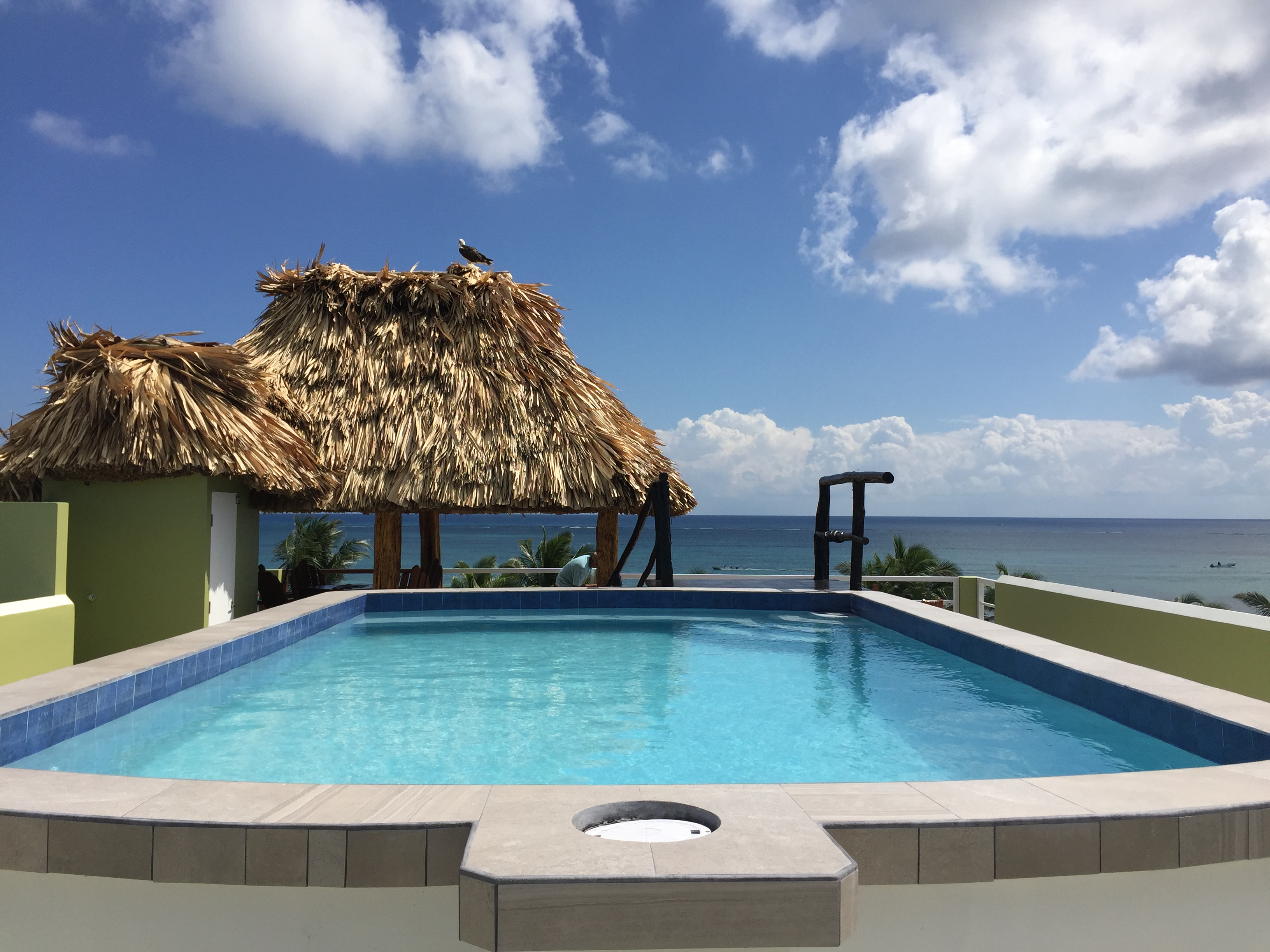 Casa del Rai, Perfect Location with Roof top Pool in Belize Islands, Belize