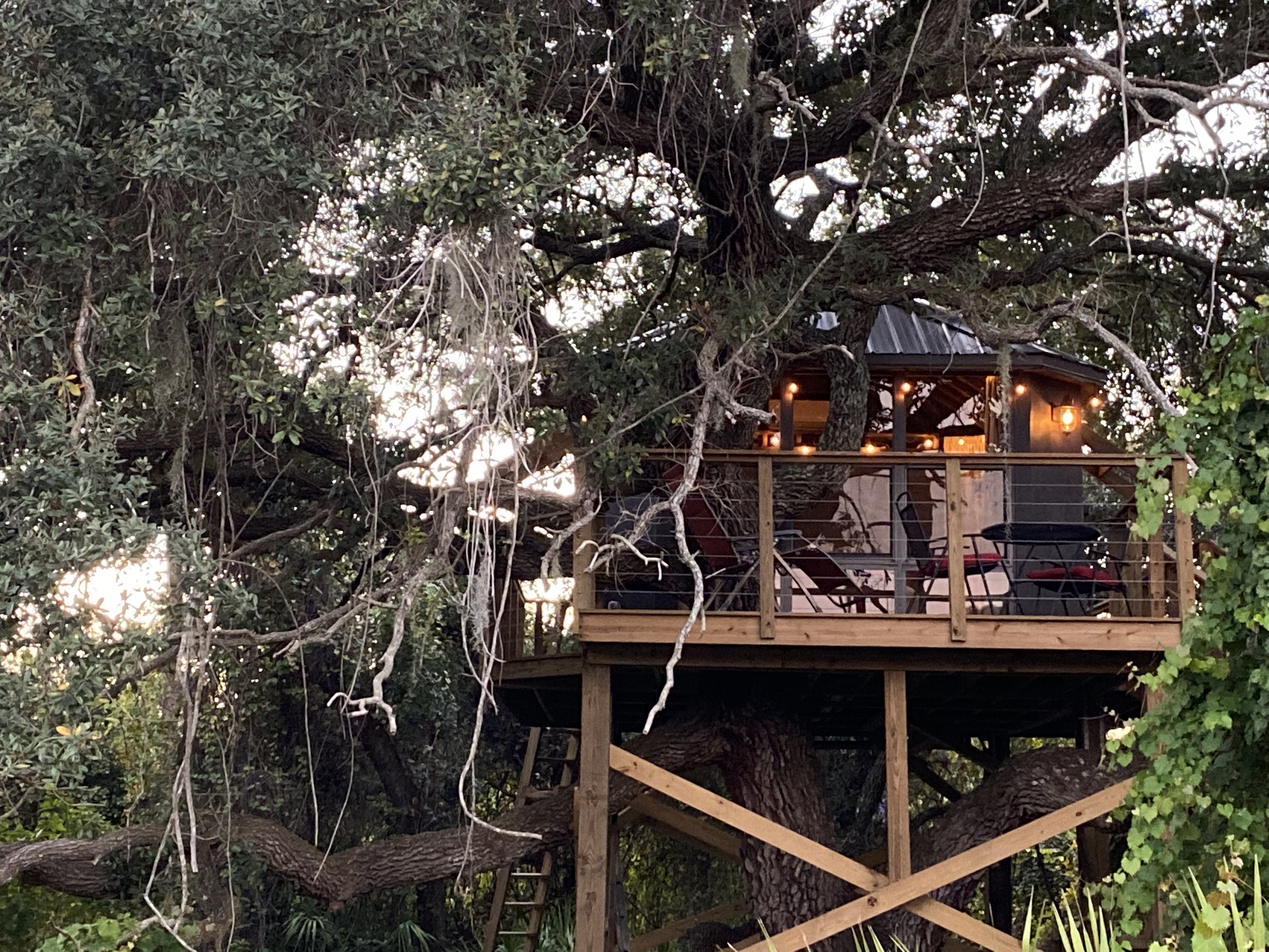 Treehouse In The Cloud Close Totheme Parks Treehouses For Rent In Saint Cloud Florida United States