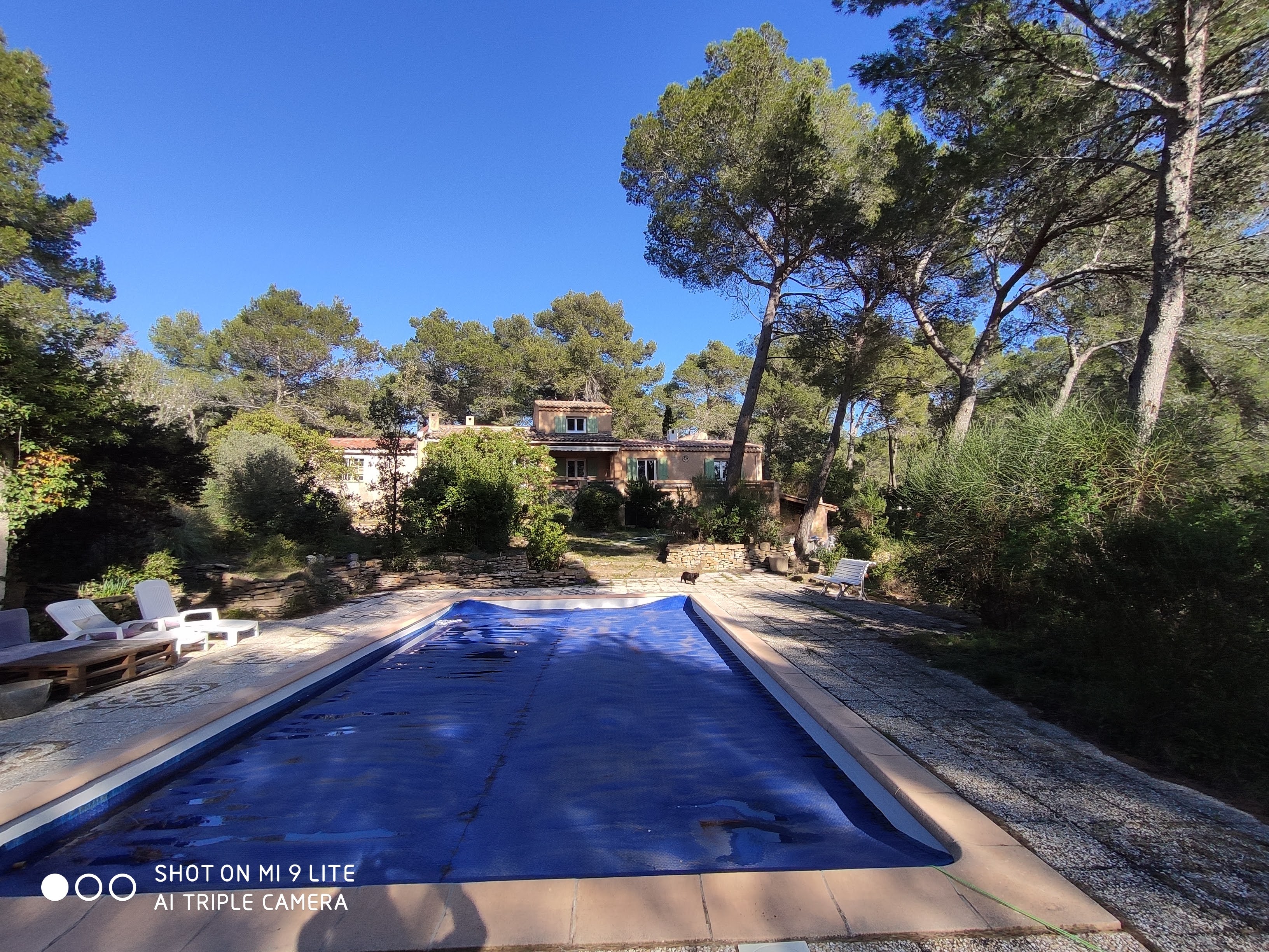 Ceyreste: Studio with pool, pétanque and pine forest
