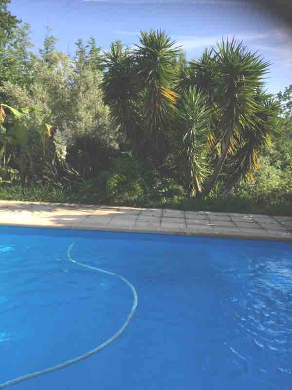 Mini villa in large property in Moriani beach