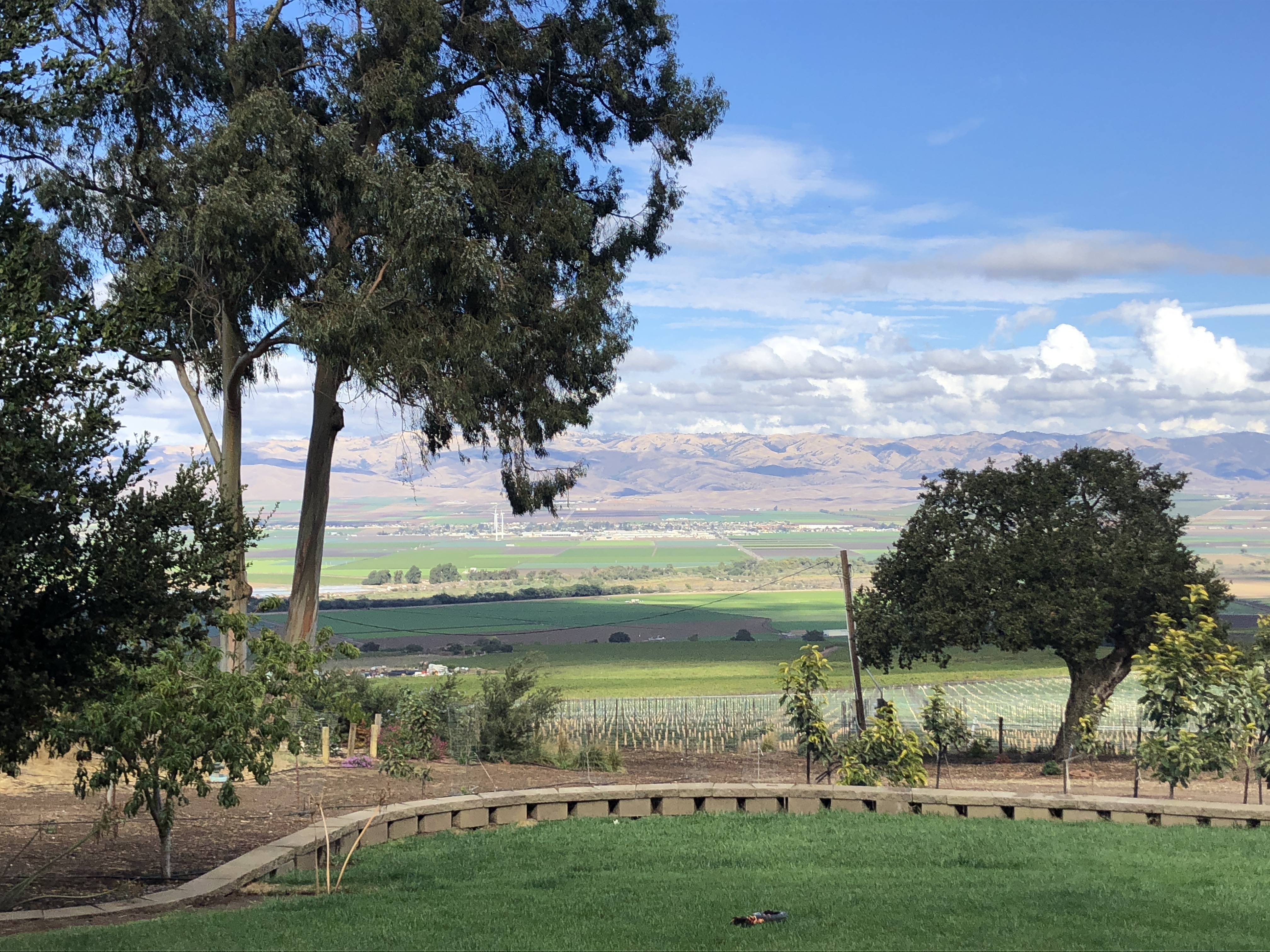 Yurt On The Farm 借りられるユルト パオ ゲル サリナス カリフォルニア州 アメリカ合衆国 Yurt On The Farm 借りられるユルト パオ ゲル サリナス カリフォルニア州 アメリカ合衆国