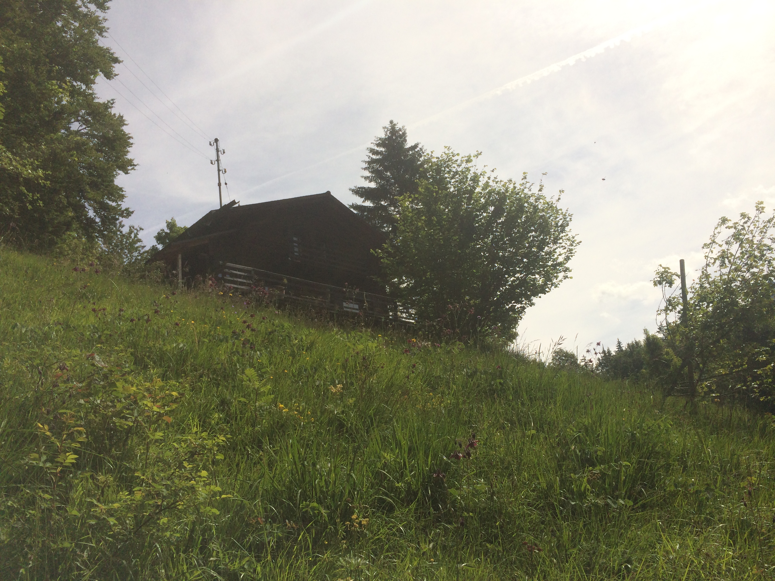 Cozy chalet and nature paradise
