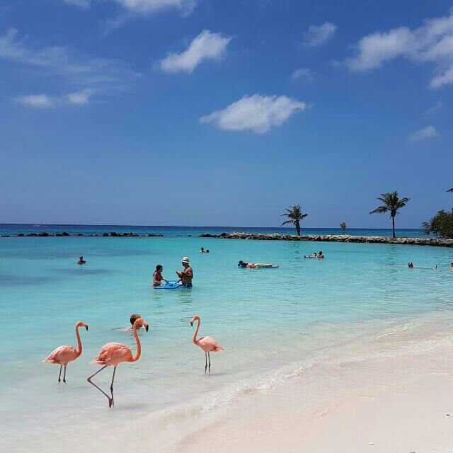 3 min walk to beach&shops king bed Lagoon Studio 2