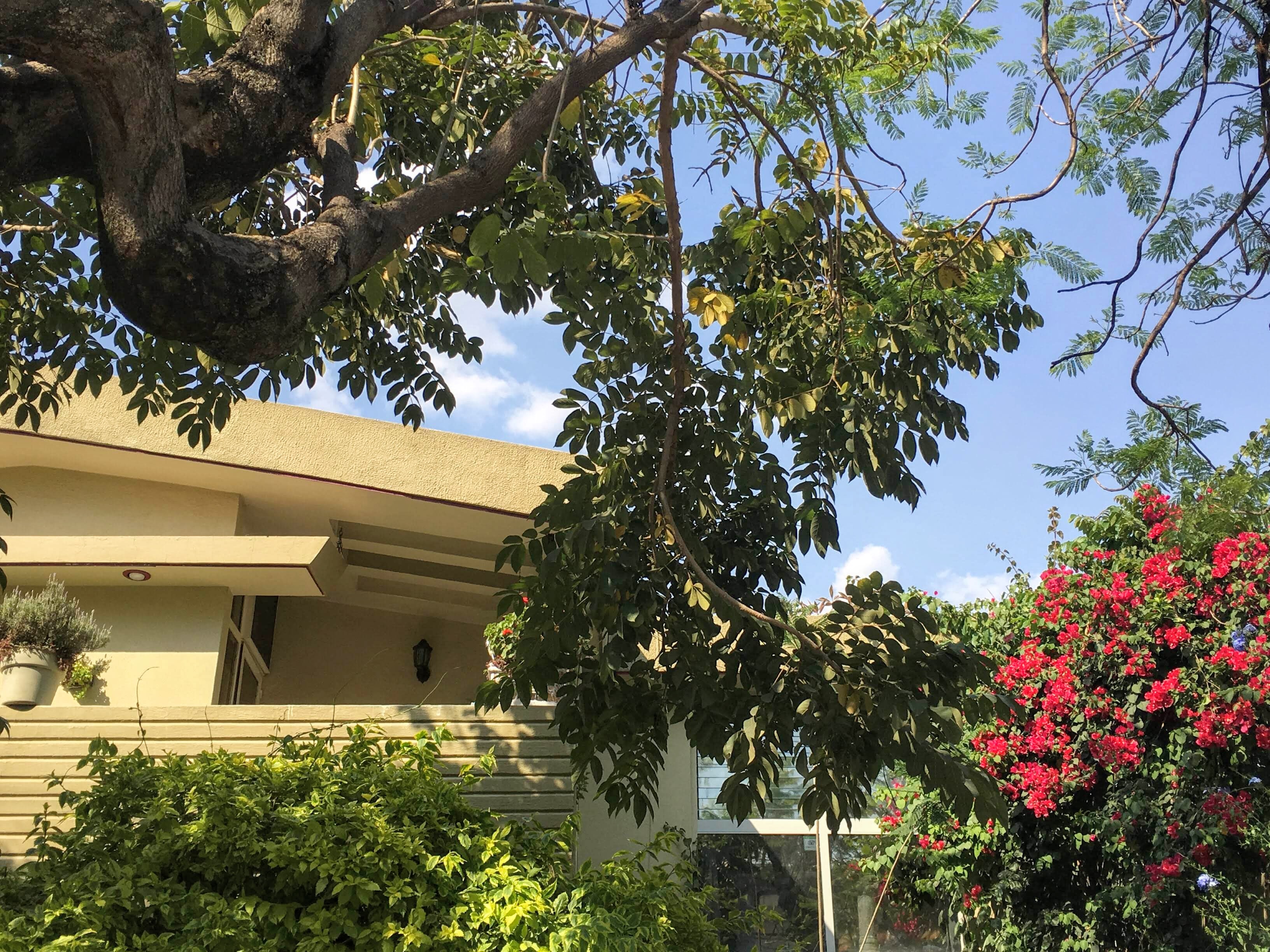 Large, Serviced, 5 BR House in Chapalita/Expo Area Houses for Rent in