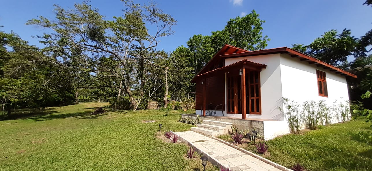 Cabaña KINICH Cabins for Rent in Palenque, Chiapas, Mexico