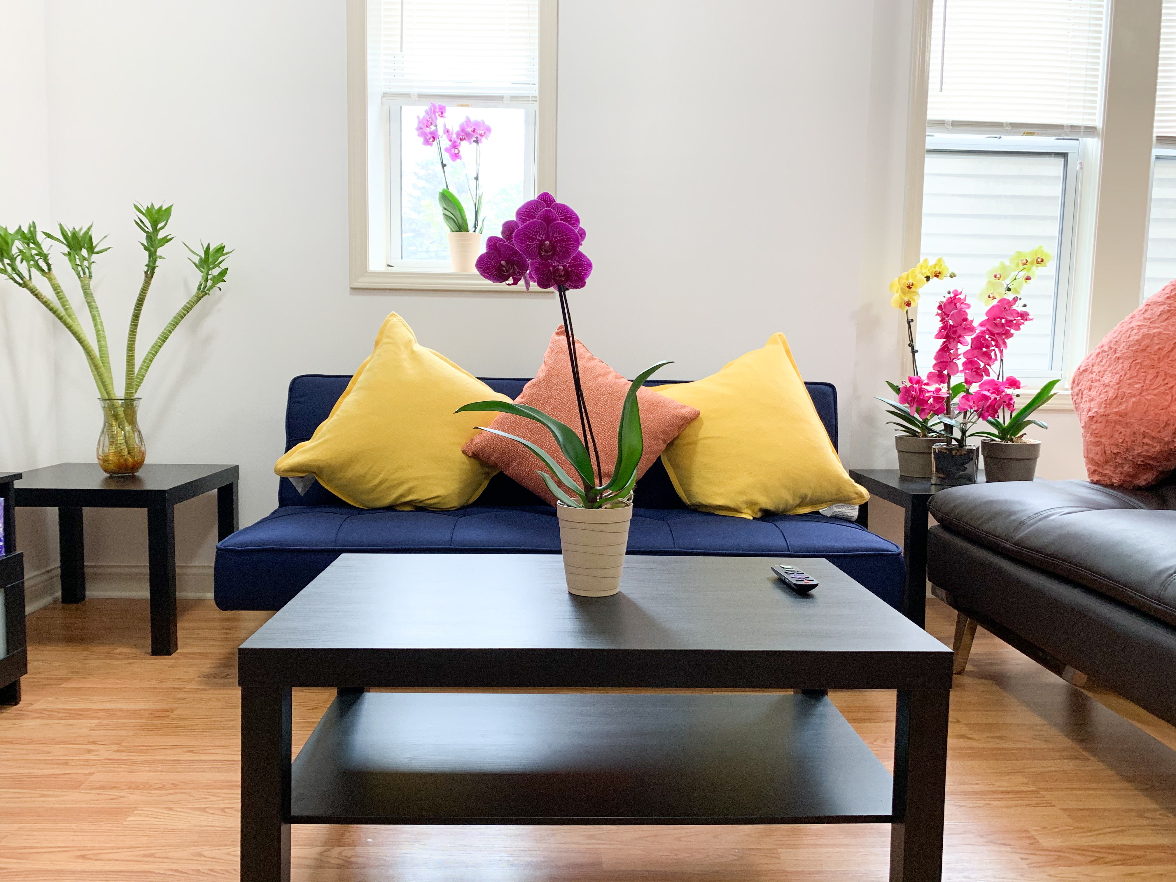 Convenient 2br Bridgeport Apt 1r Close To Downtown Apartments For Rent In Chicago Illinois United States