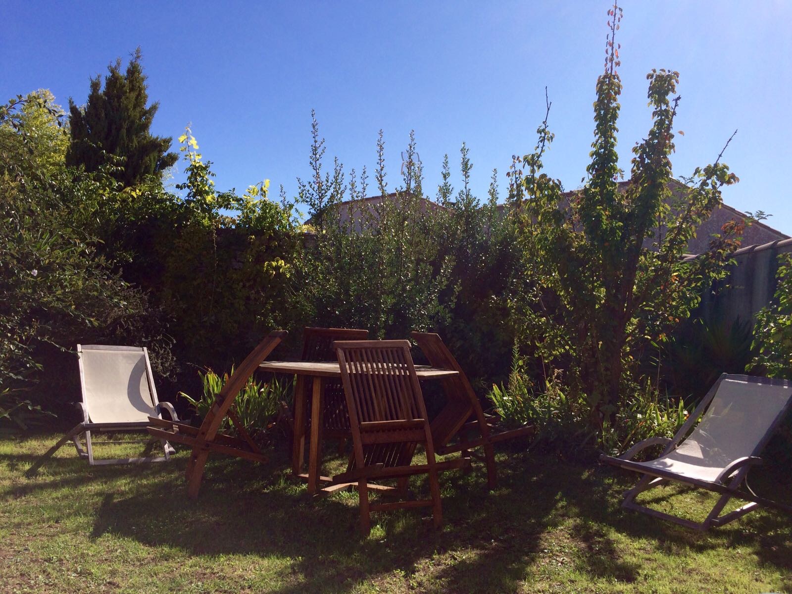 Quiet house garden near port St Martin de Ré Houses for Rent in Saint