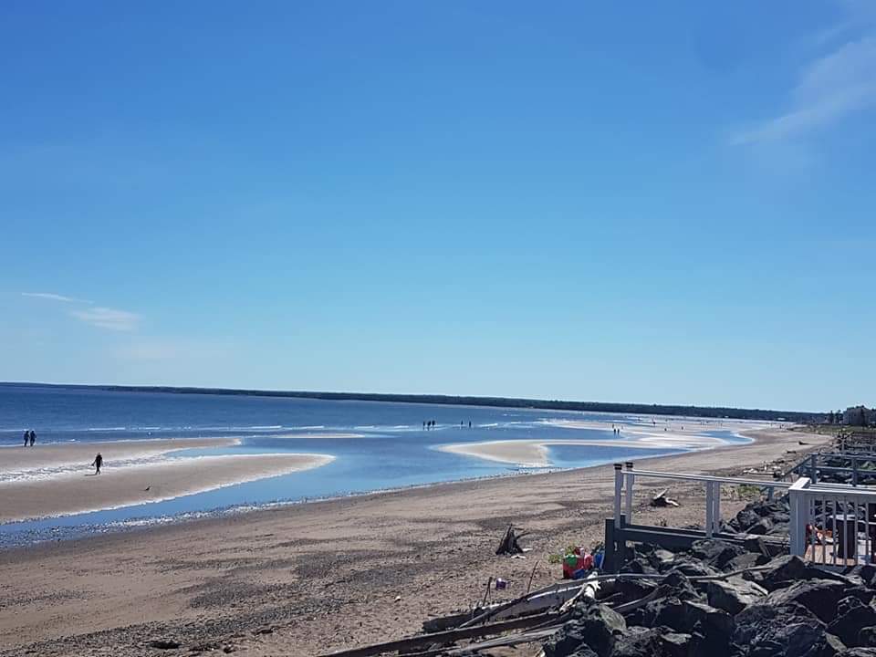 Youghall Beach Oasis! Détendezvous, golf,poissons,kayak) Cabanes à