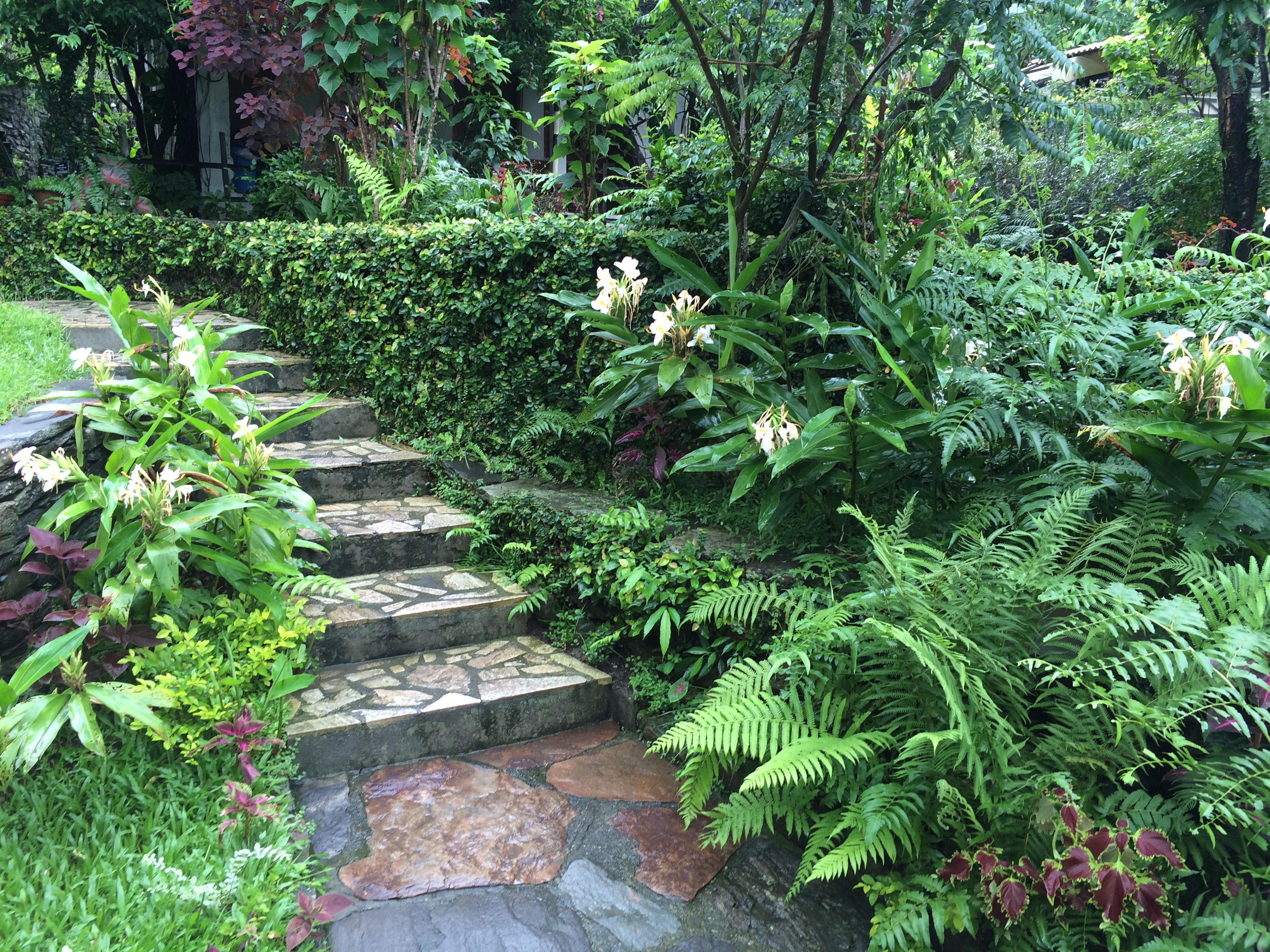The Garden Suite at Krishna's Kitchen & Cottages