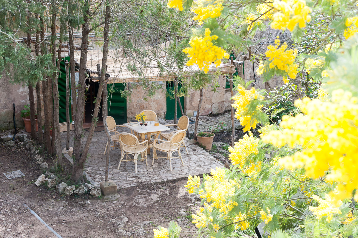 Ca l'Amo in Llubí, Mallorca