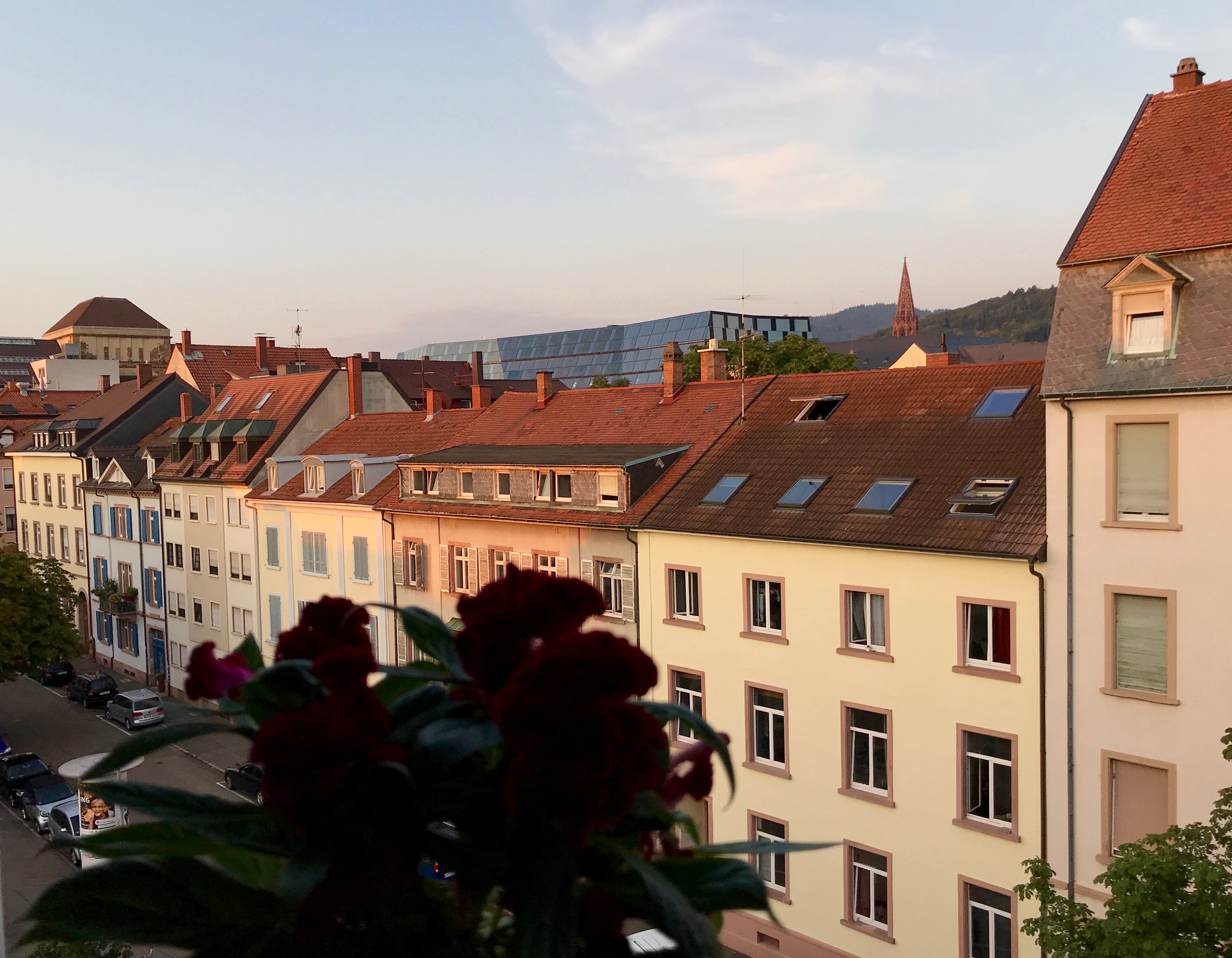 Heart of Freiburg modern/ close Trainstation Apartments for Rent in