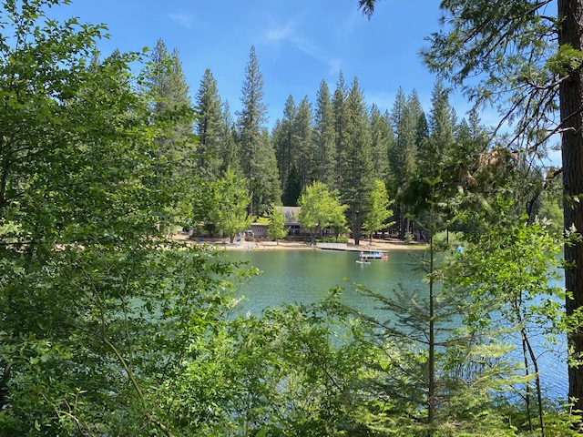 The Pine & Paddle-Cabin By The Lake