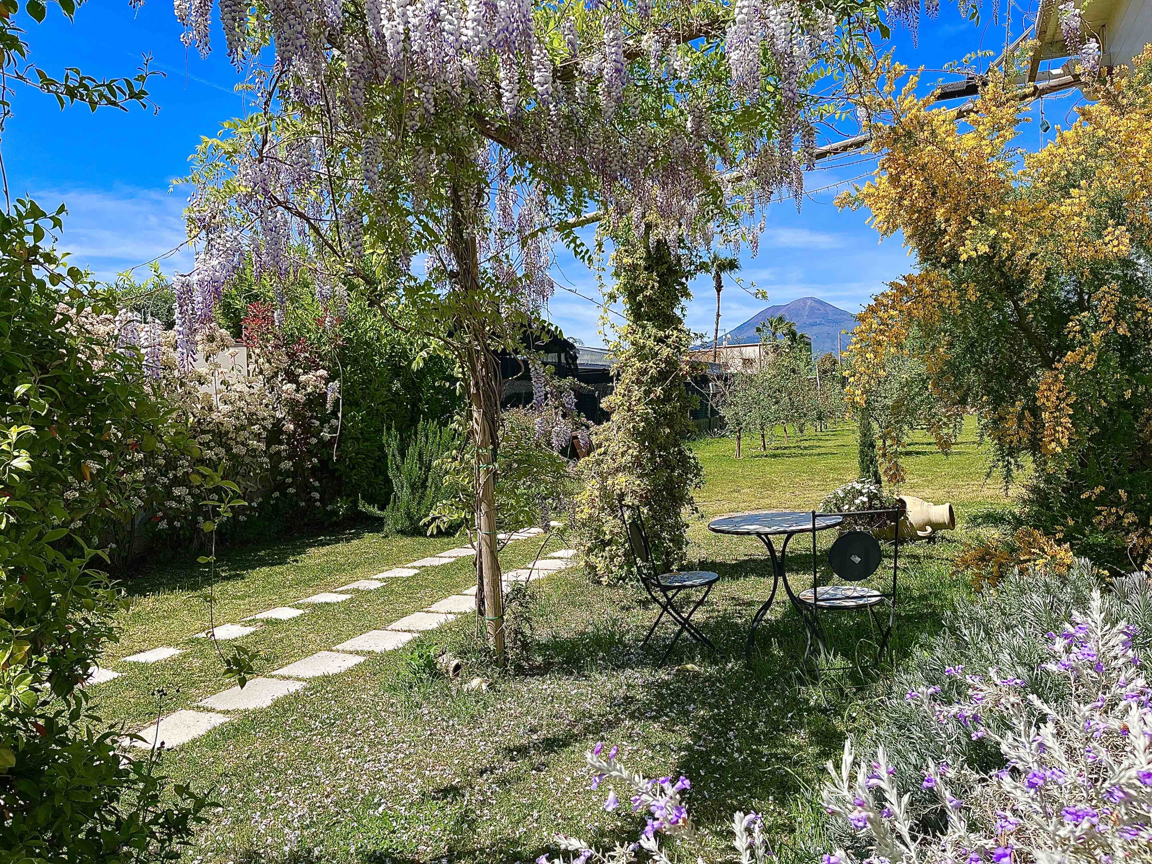 Lemon Gaudio - Holiday Home