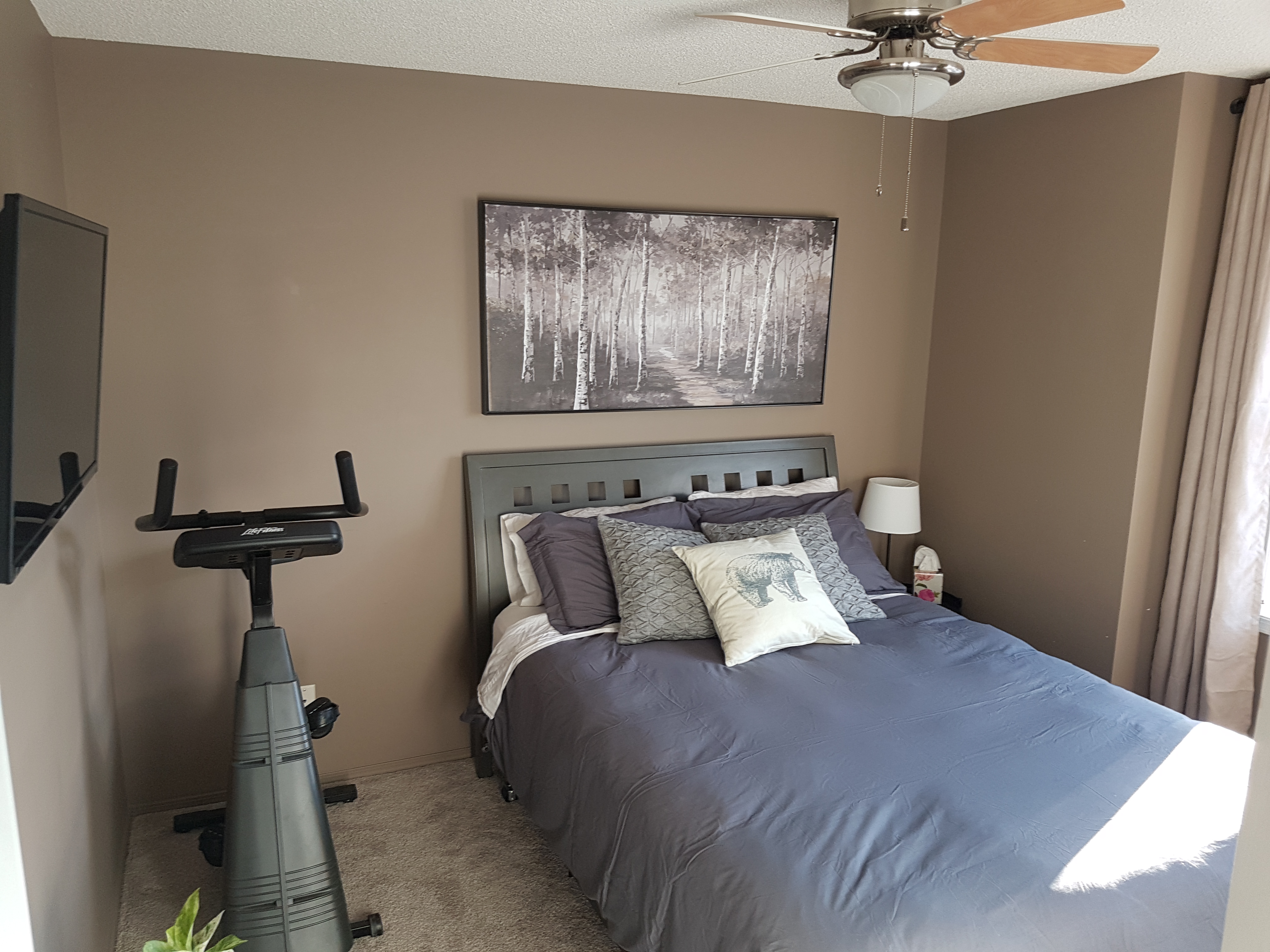 exercise bike in bedroom
